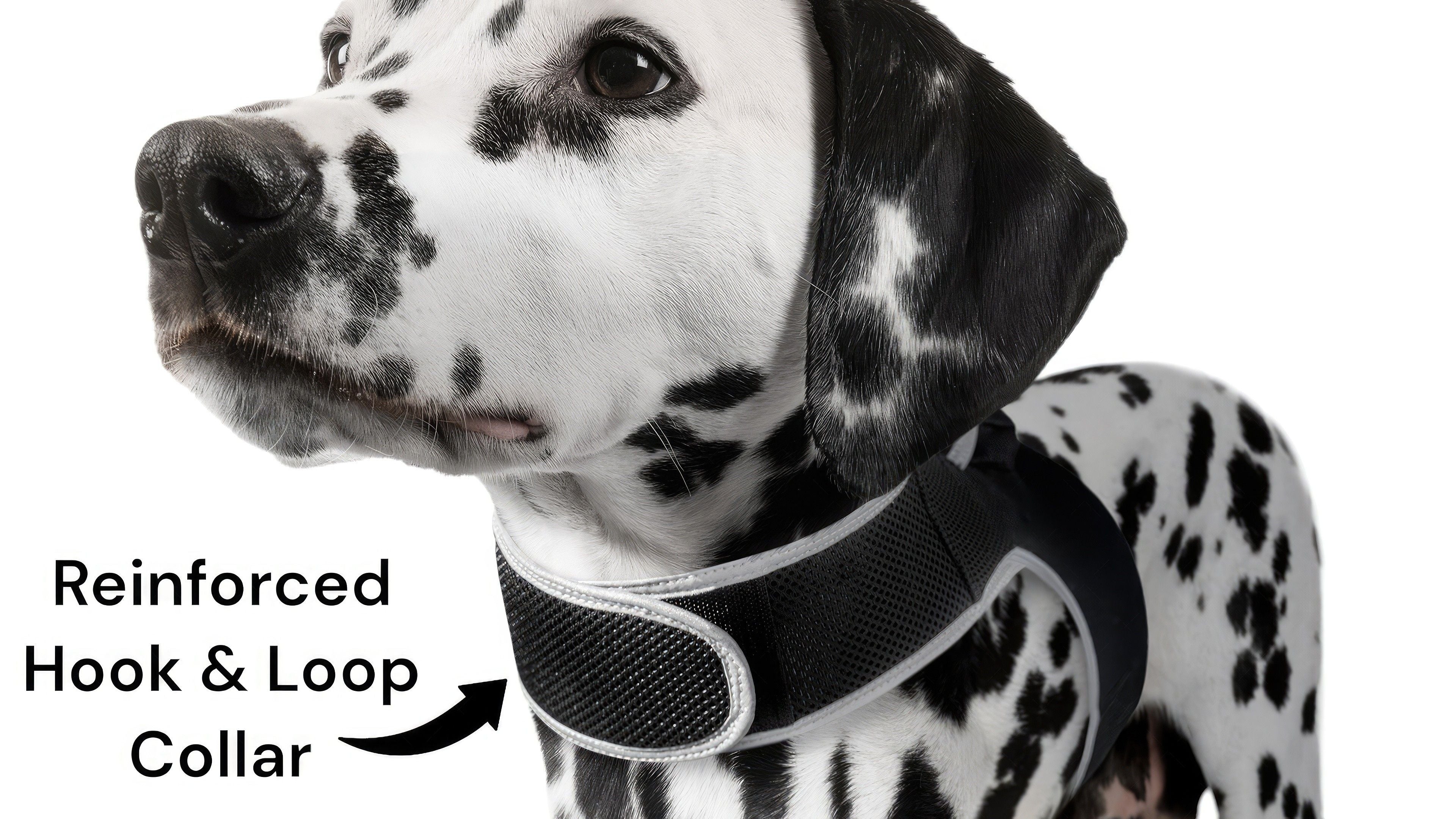 Low Maintenance Mini Dog Tracking GPRS GPS GSM Pet Tracker Waterproof Size:XL
