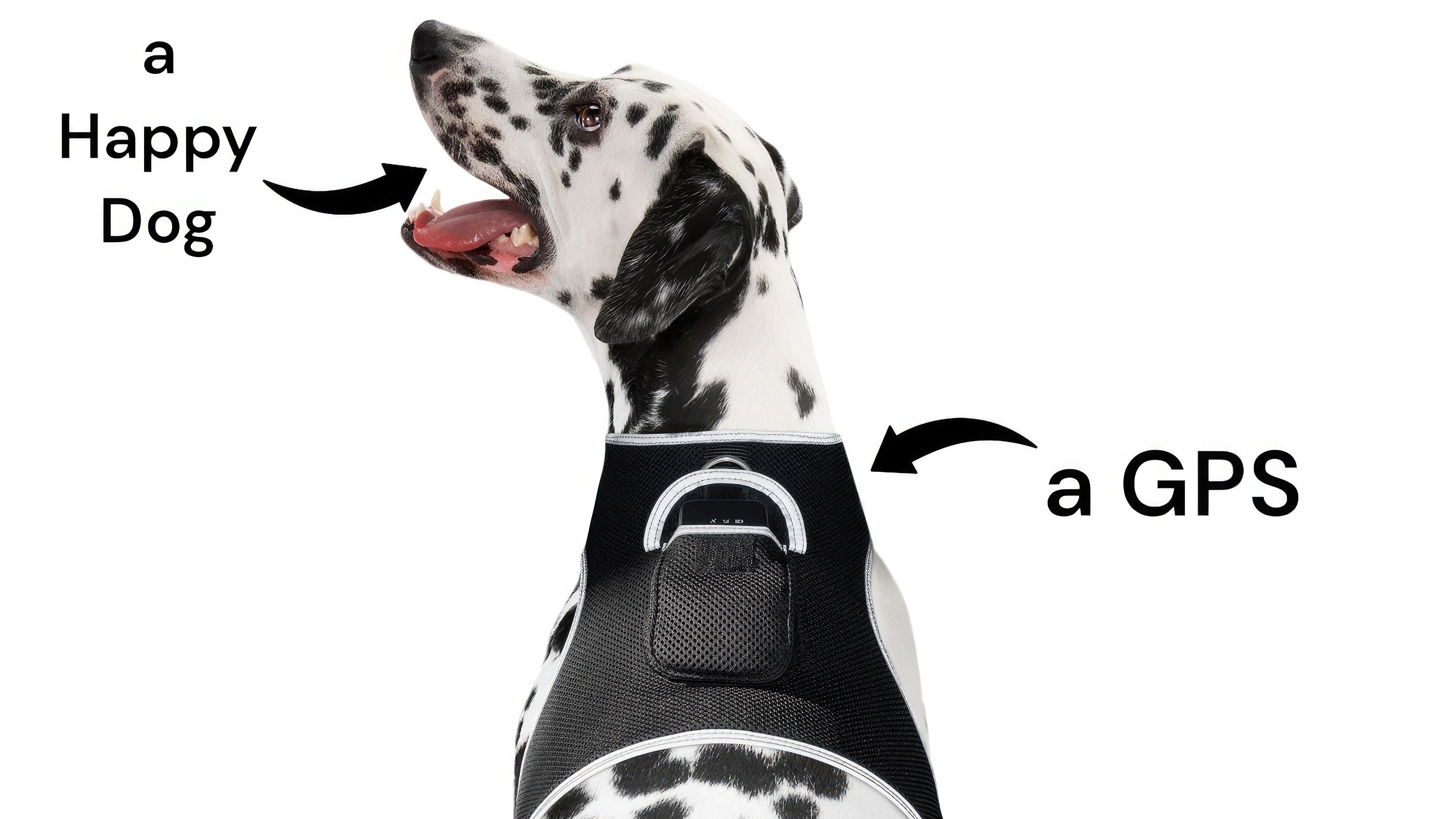 NEW Realtime GPS Pet Locator Waterproof Rechargeable Tracking Device Size:S
