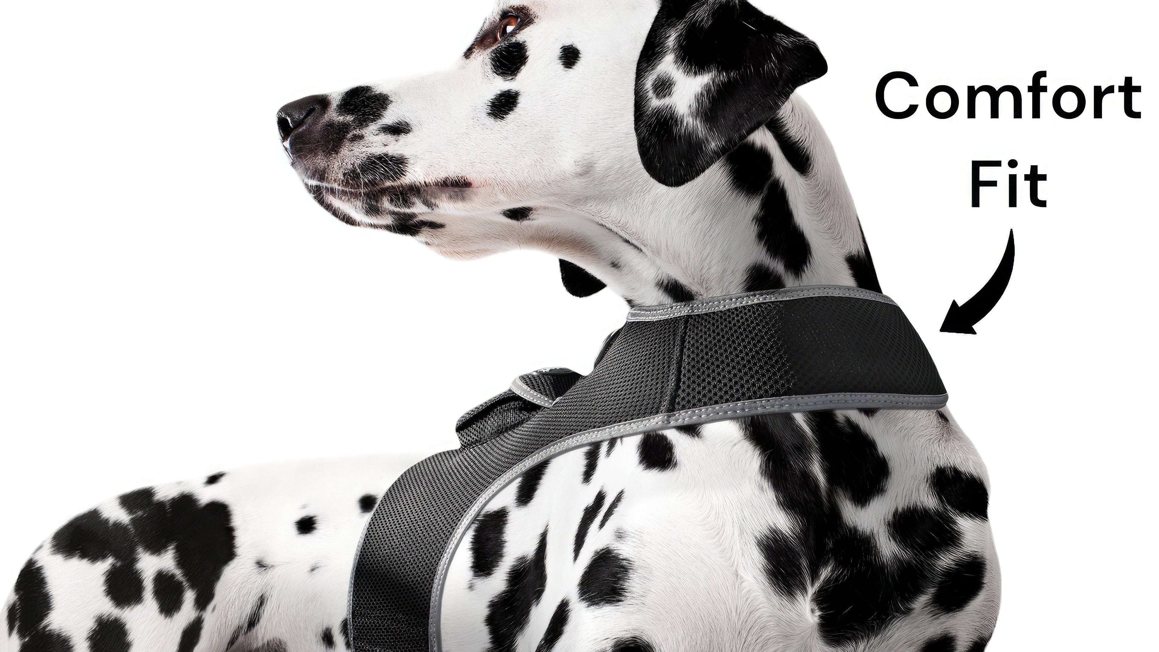 Collar Clipped GPS Cat Tracker Enhanced Realtime Wireless Pet Locator Size:S