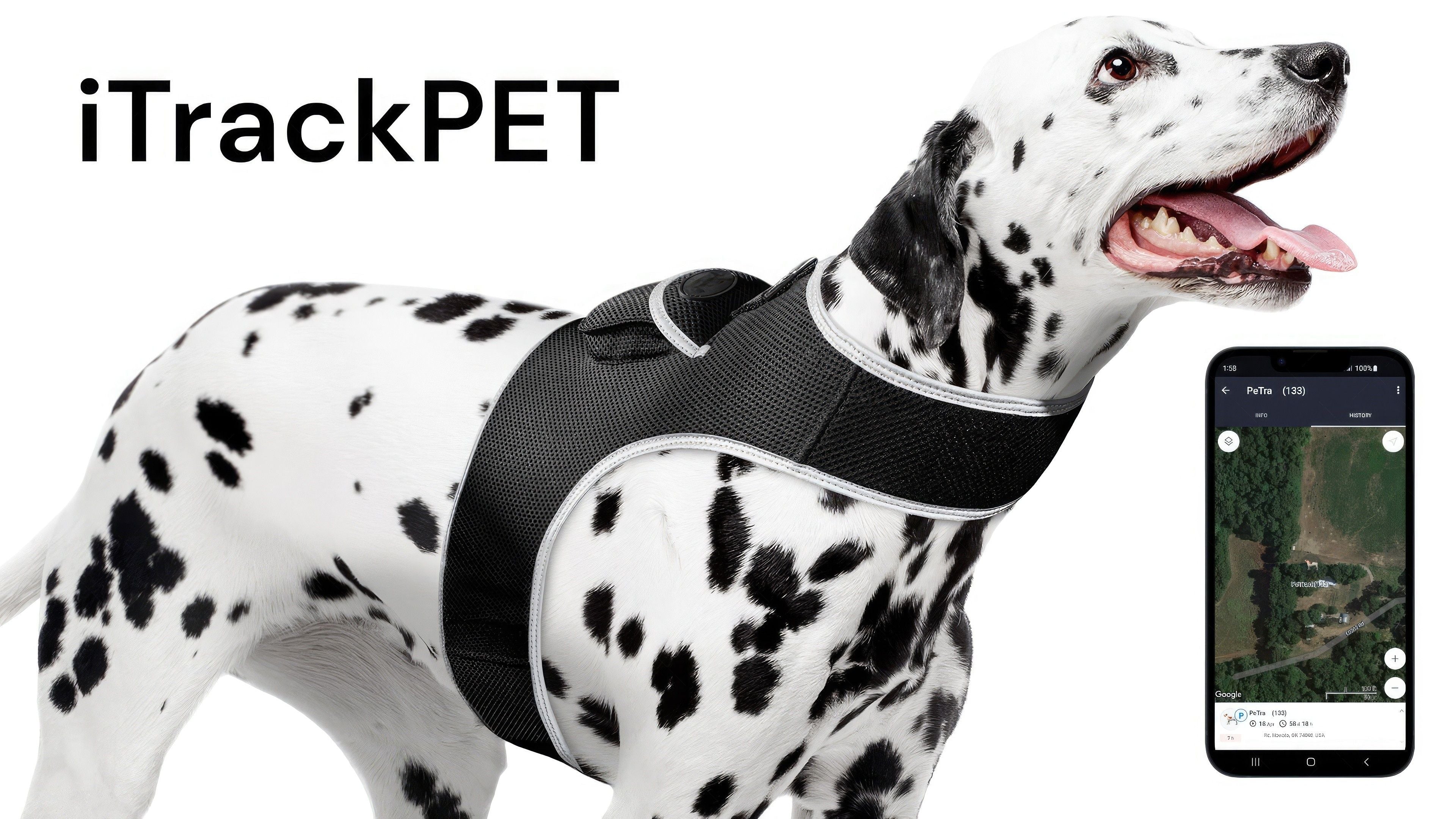 Easy to Use Waterproof Realtime GSM Dog Tracking GPS Location Tracker Size:XL