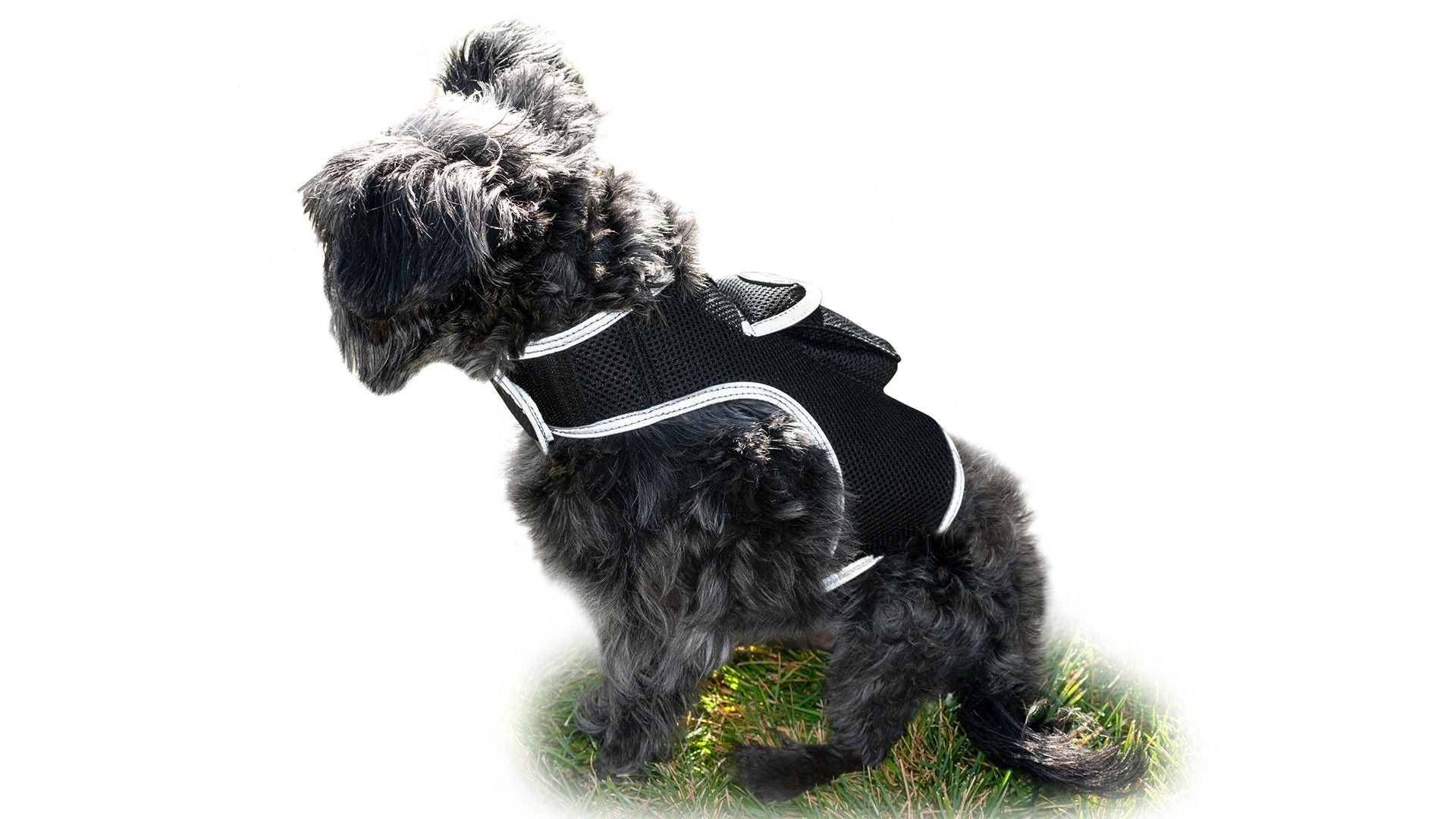 Worldwide Compatible Dog Tracking Collar Mount Device MIni Pet Locator Size:XL