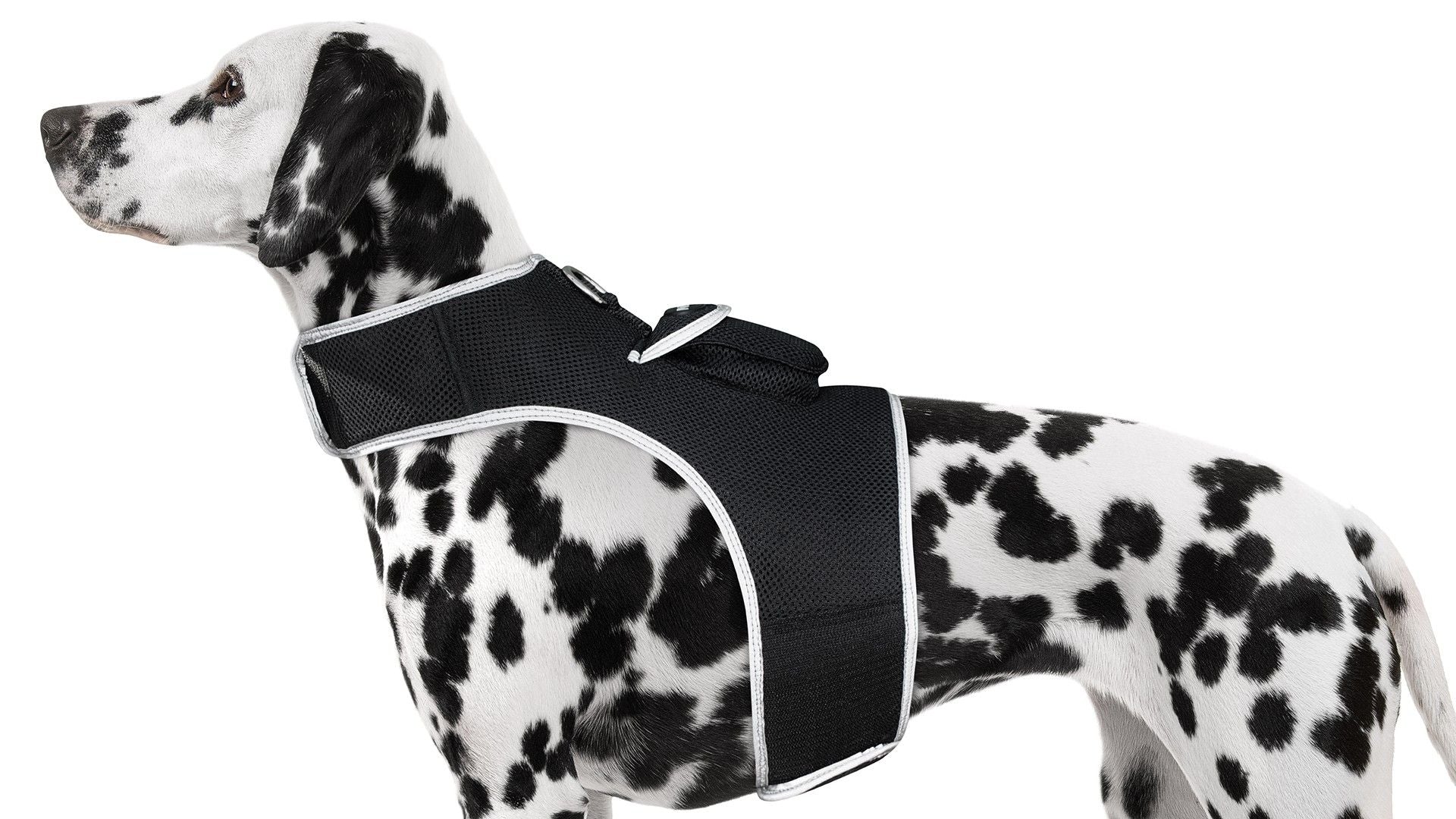 Realtime GSM GPS Tracker Dog Cat Waterproof Locator with Notifications Size:S