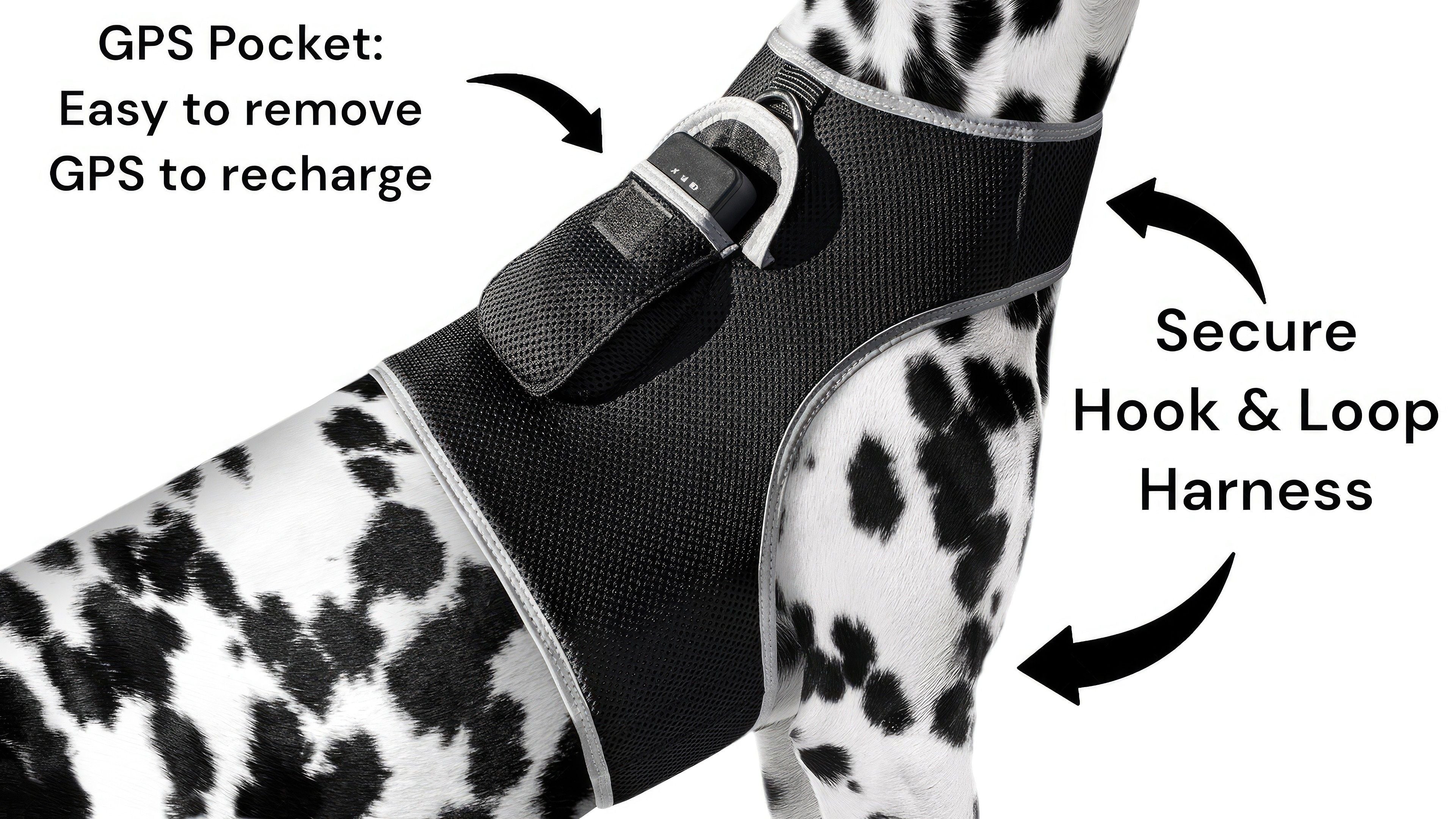 Realtime GPRS GPS Pet Logger Collar Tag Tracking Device Rechargeable Size:S