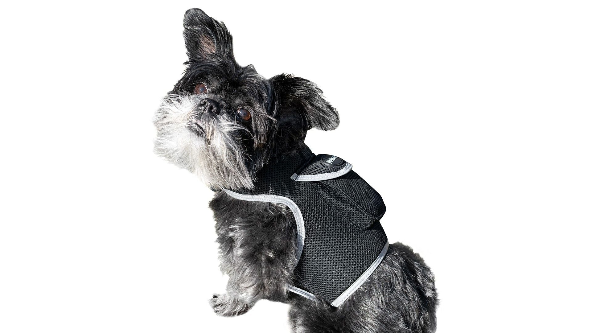 Realtime Cat GPS Tracking Collar Waterproof Advanced Pet Locator NEW Size:XL