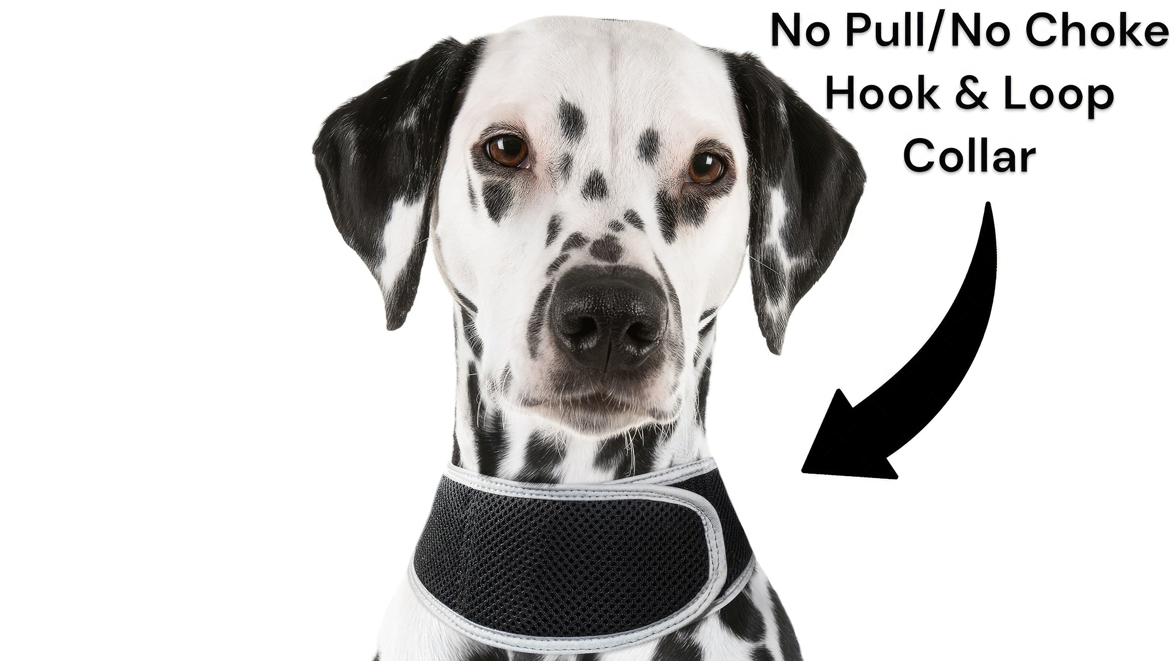 Wireless GPS Tracking for Dogs Rechargeable Pet Surveillance Tracker Size:M