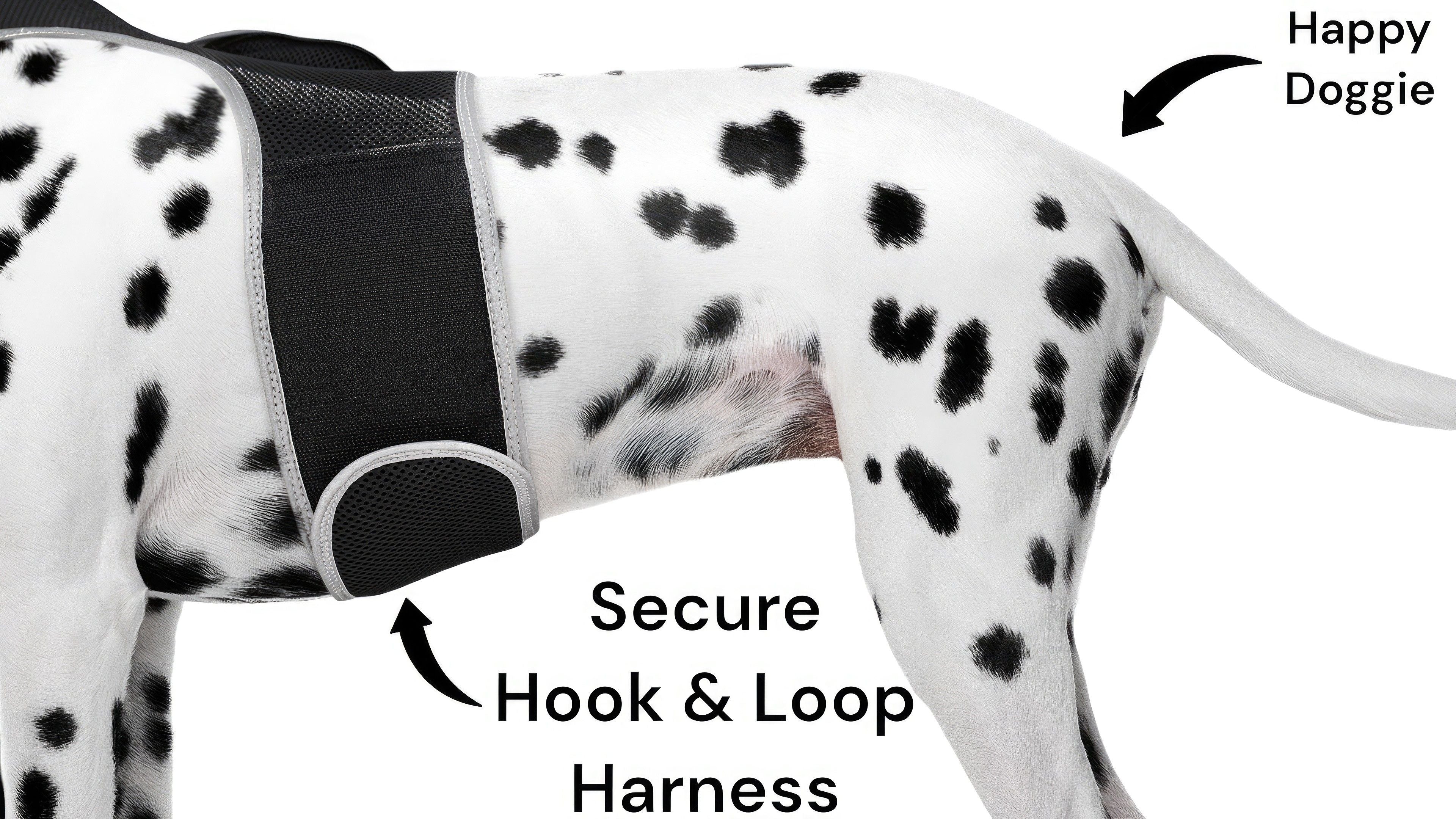 Mini GSM GPS Cell Phone Pet Tracker + App Realtime Pet Tracking Device Size:XS