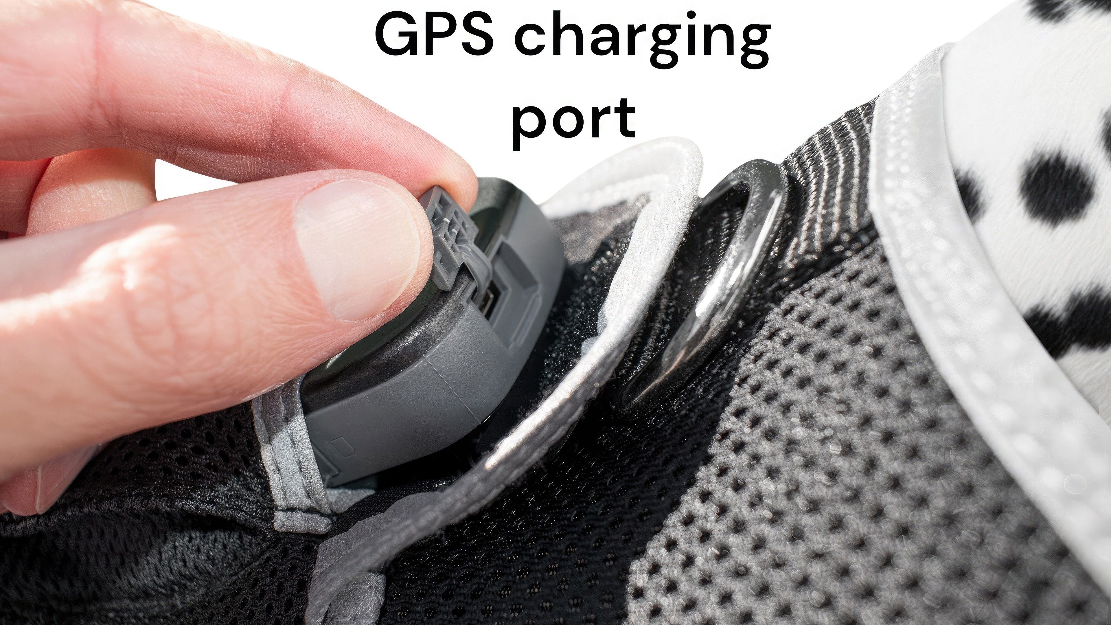 Mini Pet Tracking Device Collar Mount + Mobility Detector to Extend Battery Life Size:XS