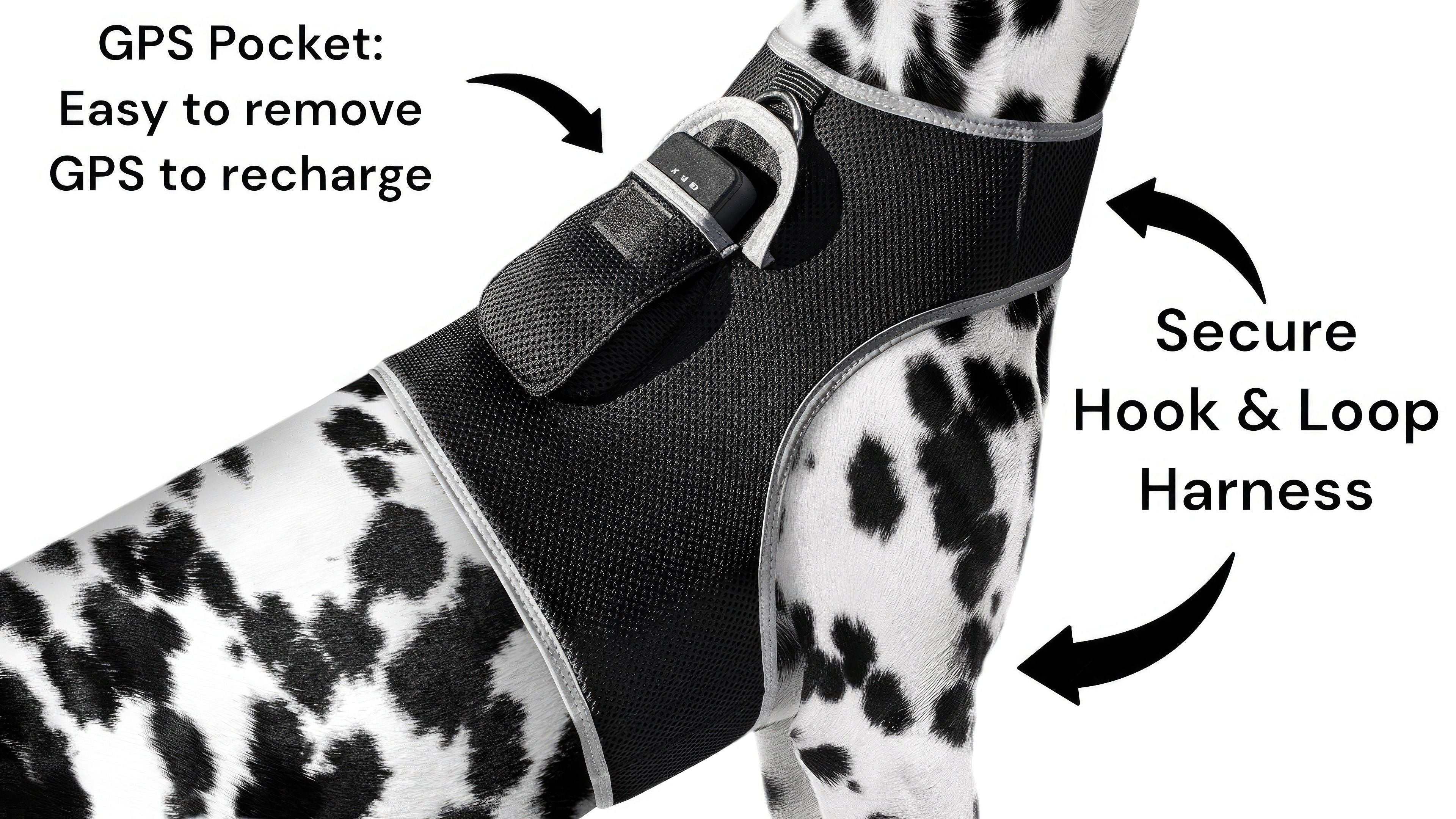 Pet Tracker - Best Dog GPS Tracker Buckle Clipped Rechargeable GSM Locator Size:XS