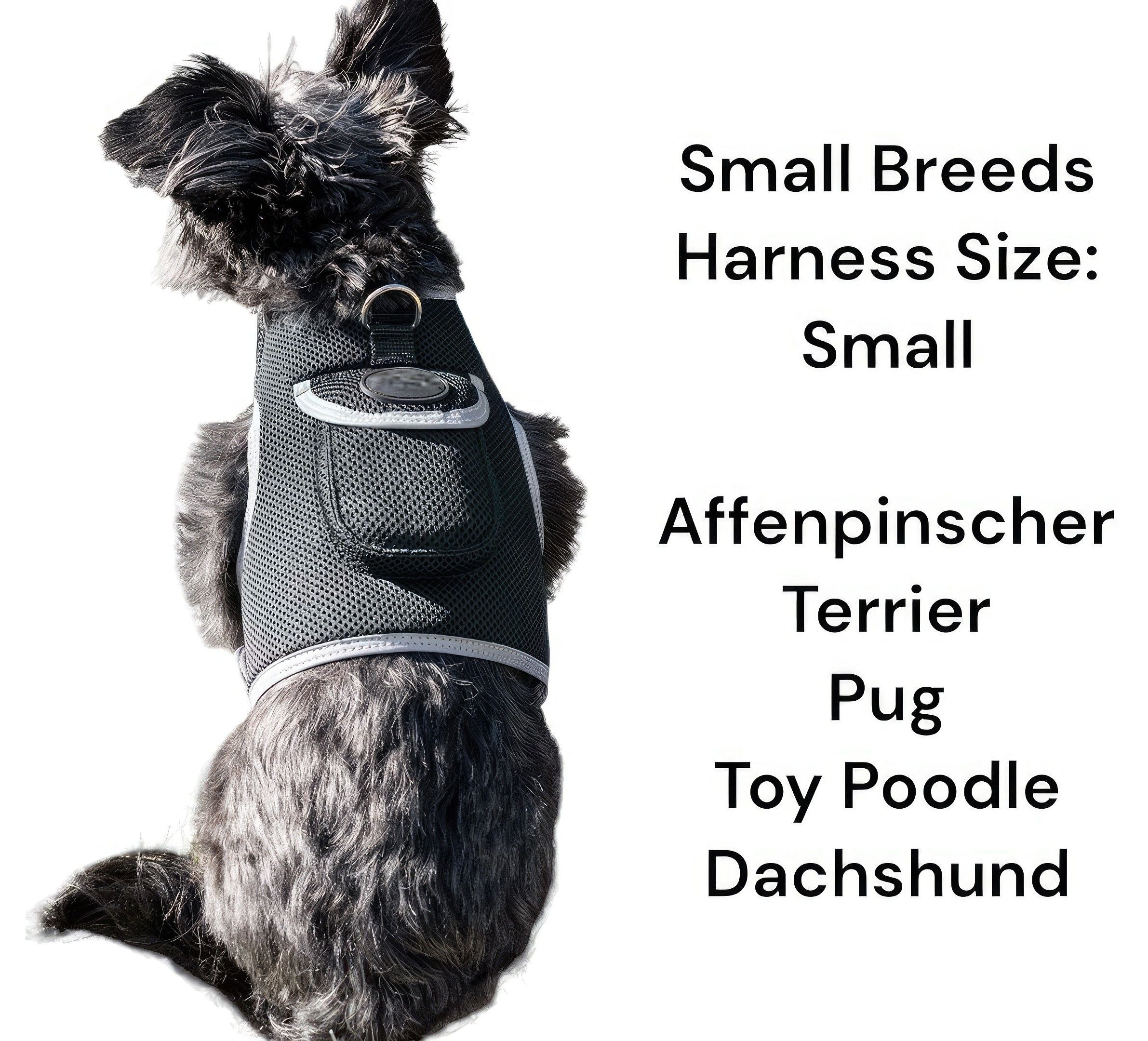Wireless GPS GSM Portable Realtime Pocket Pet Tracking Device for Cats Size:S