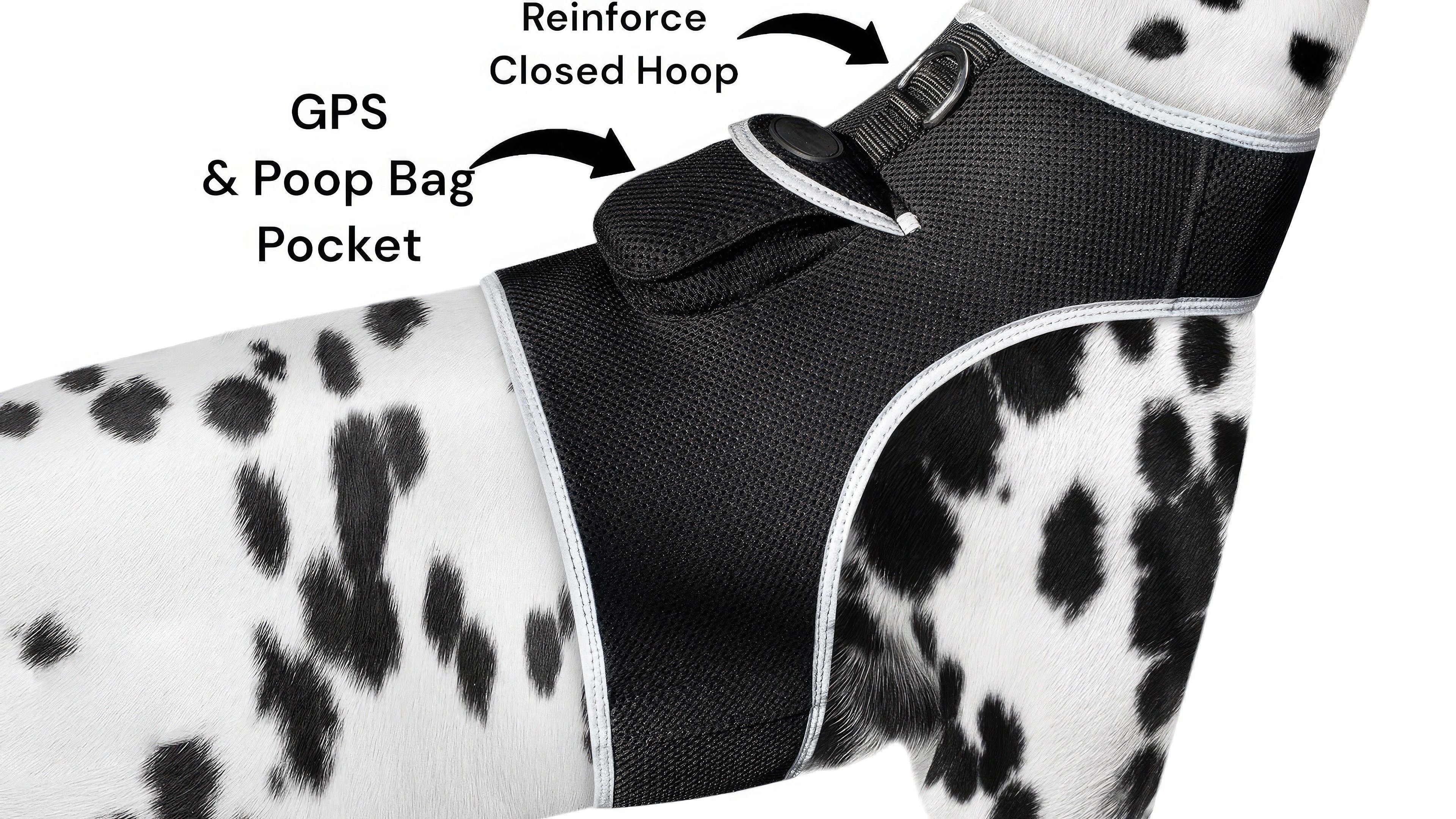 Personal Pet GPS Tracker Quadband Mini Tracking Device with Phone App Size:XL