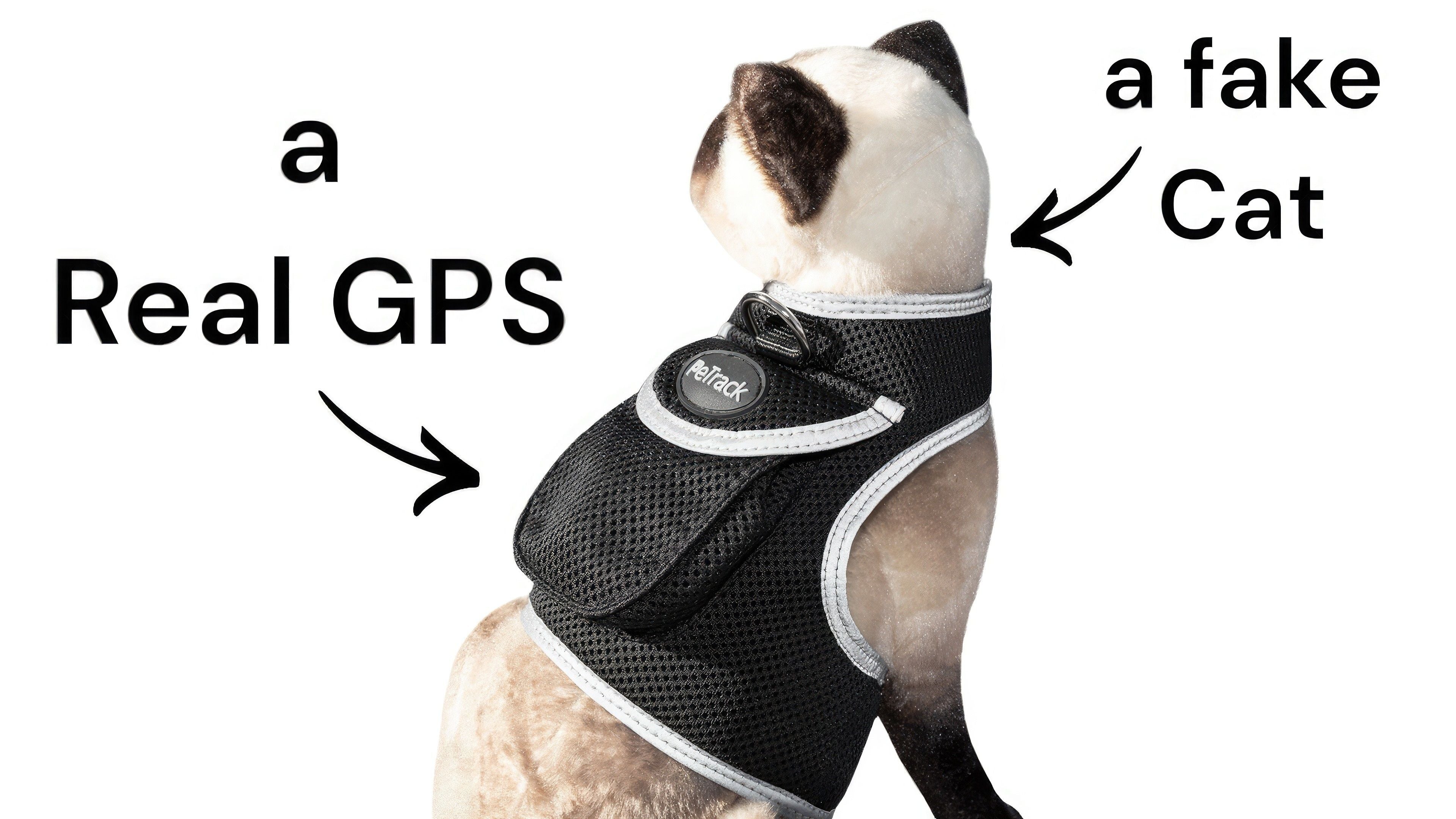 Pet Tracker Pet Locator Collar Mounted Best Dog GPS GSM Tracker Waterproof Size:XL
