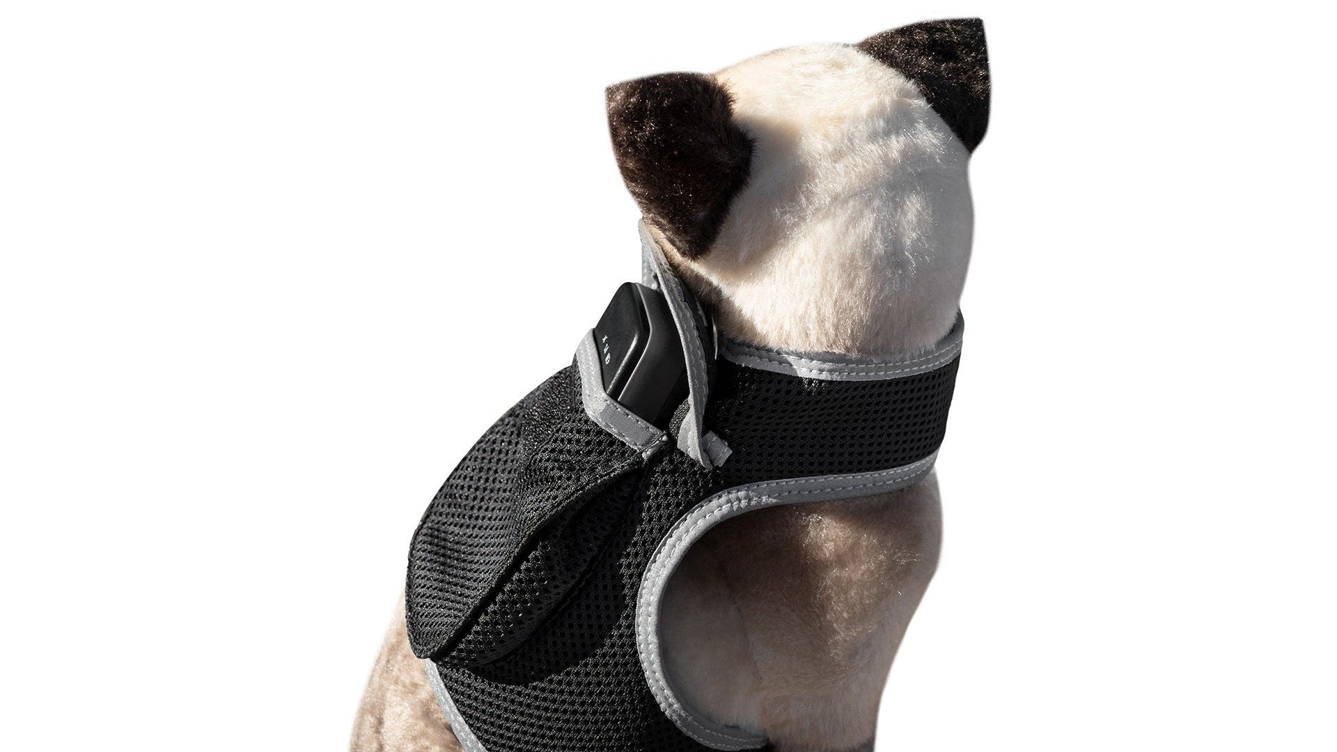 Realtime GSM GPS Dog/Cat Pet Tracking System Waterproof Collar Tracker Size:XS