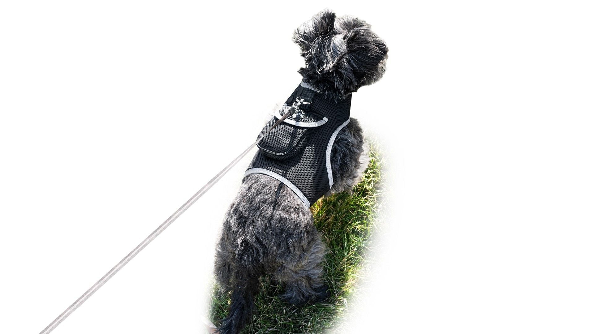 Inexpensive Mini GSM GPS Waterproof Puppy Tracking Device Pet Locator Size:M