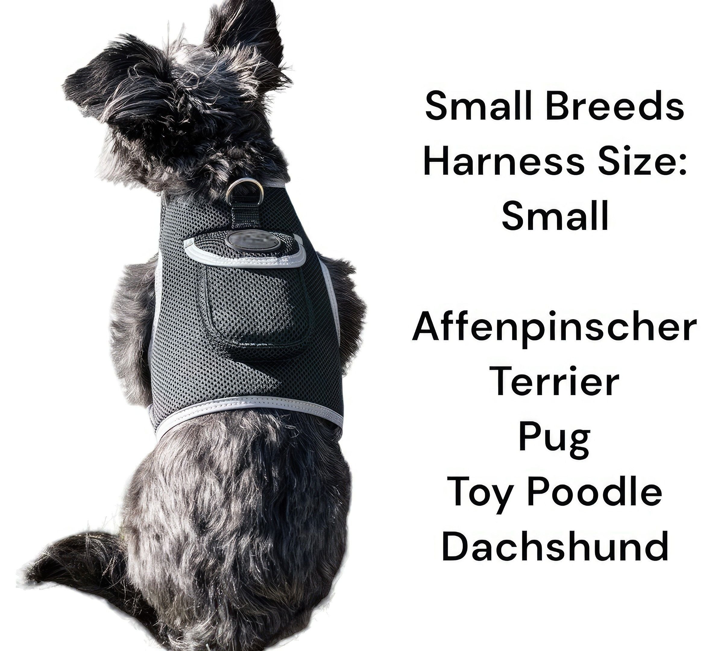 Mobile Tracking GPS GSM Pet Waterproof Rechargeable Locator Device NEW Size:M