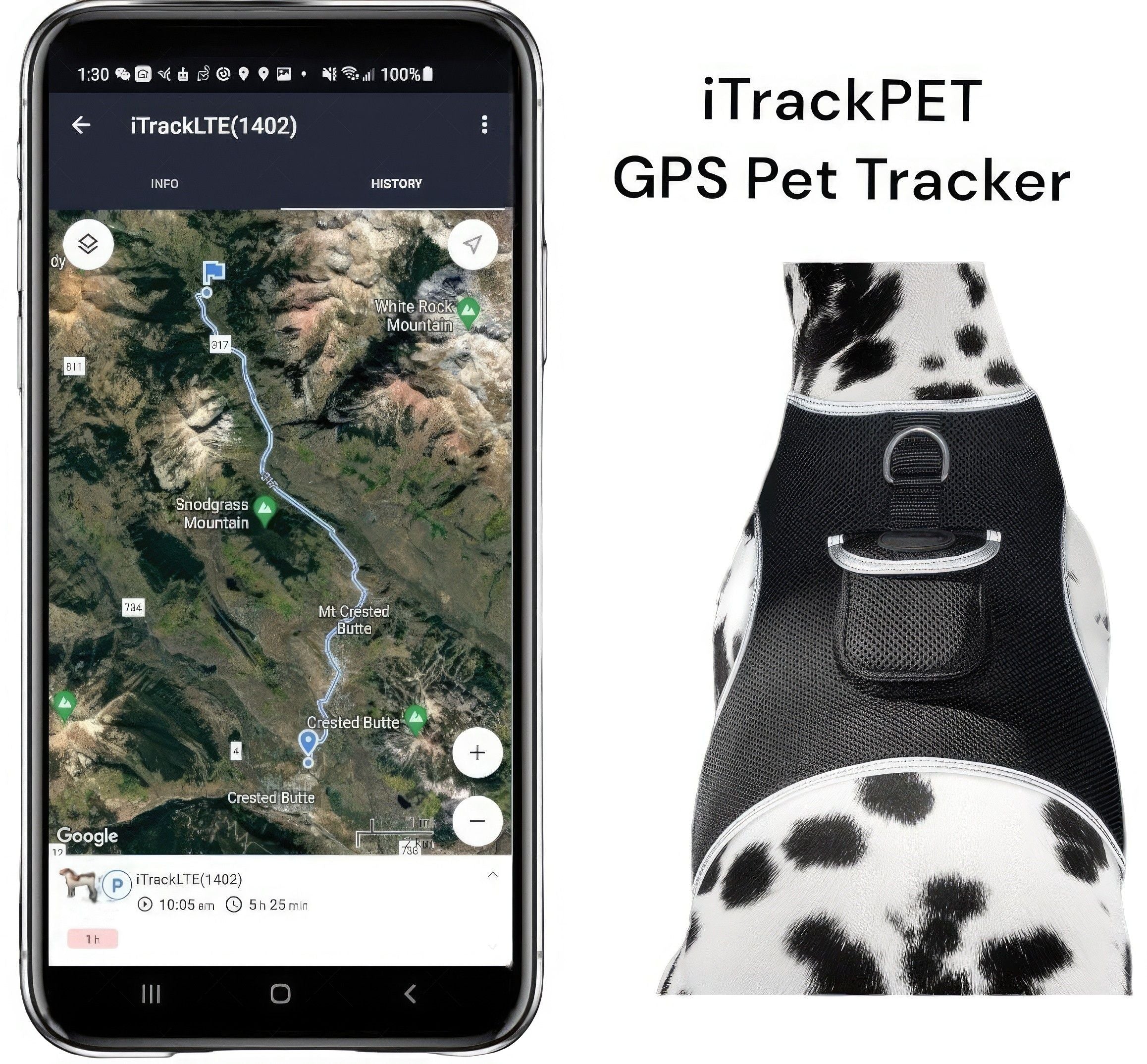 Realtime Pet Tracking App + Rechargeable Collar Mount GSM GPS Locator Size:L
