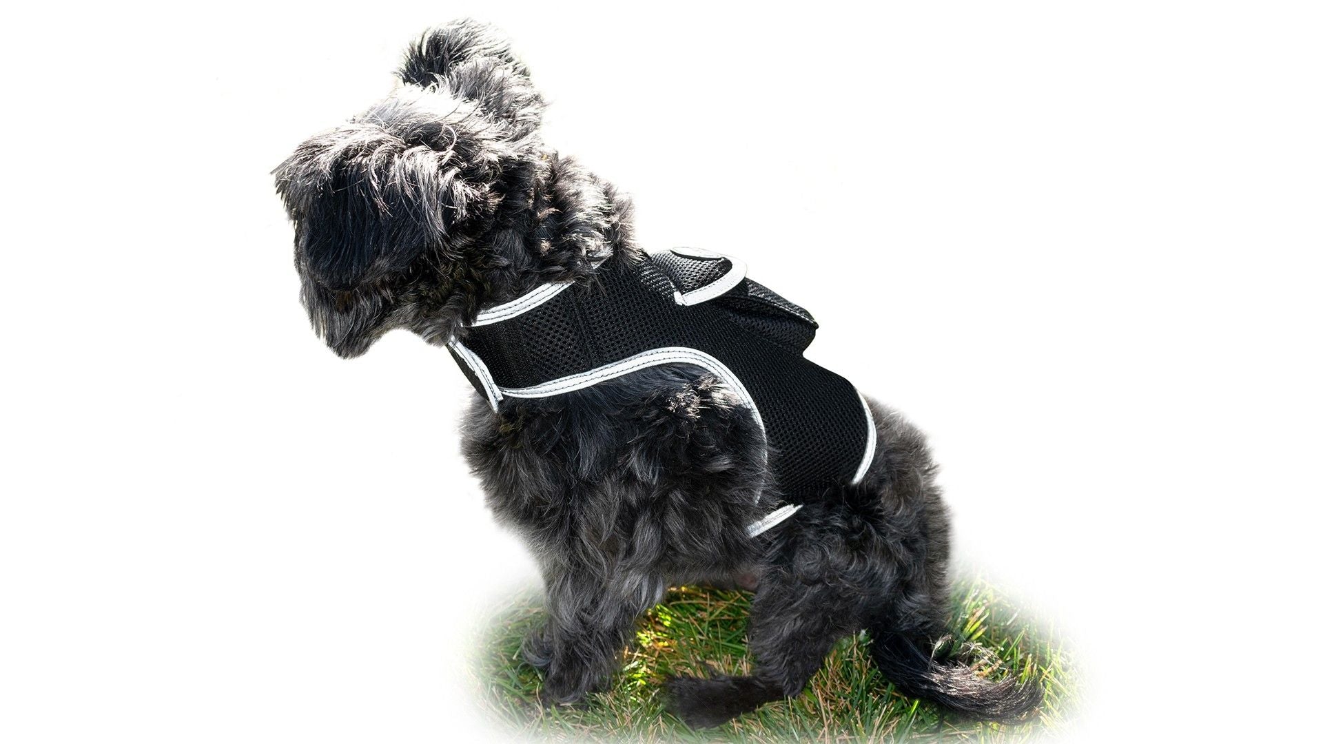USB Rechargeable GPS GPRS GSM Waterproof Realtime Collar Pet Tracker Size:L