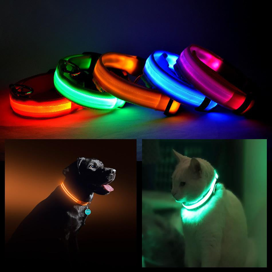 LED PET Safety Halo Style Collar(D0102HEY13A.)