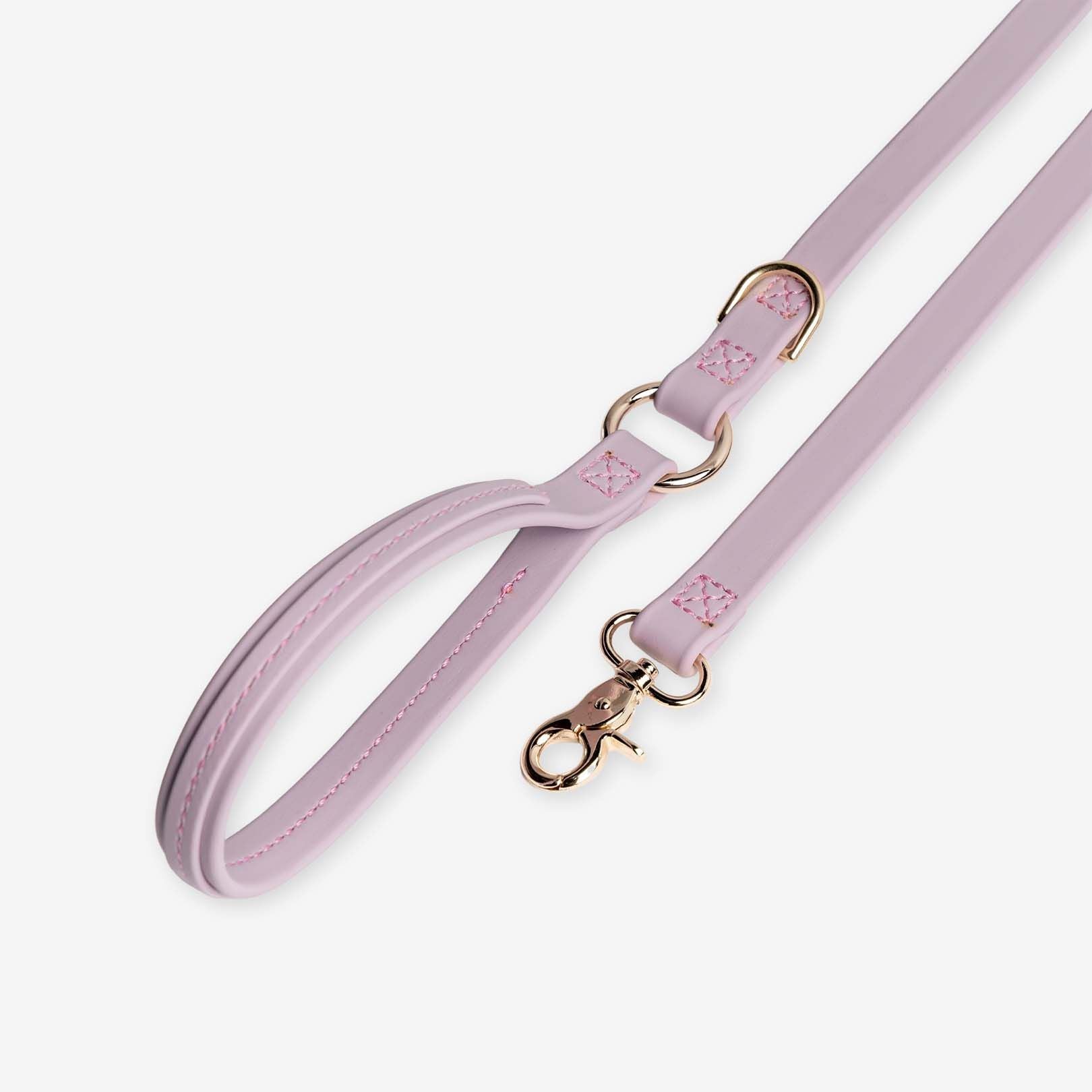 Jump Around - Luxury Waterproof Durable Dog Leash(D0102HIJFZg)