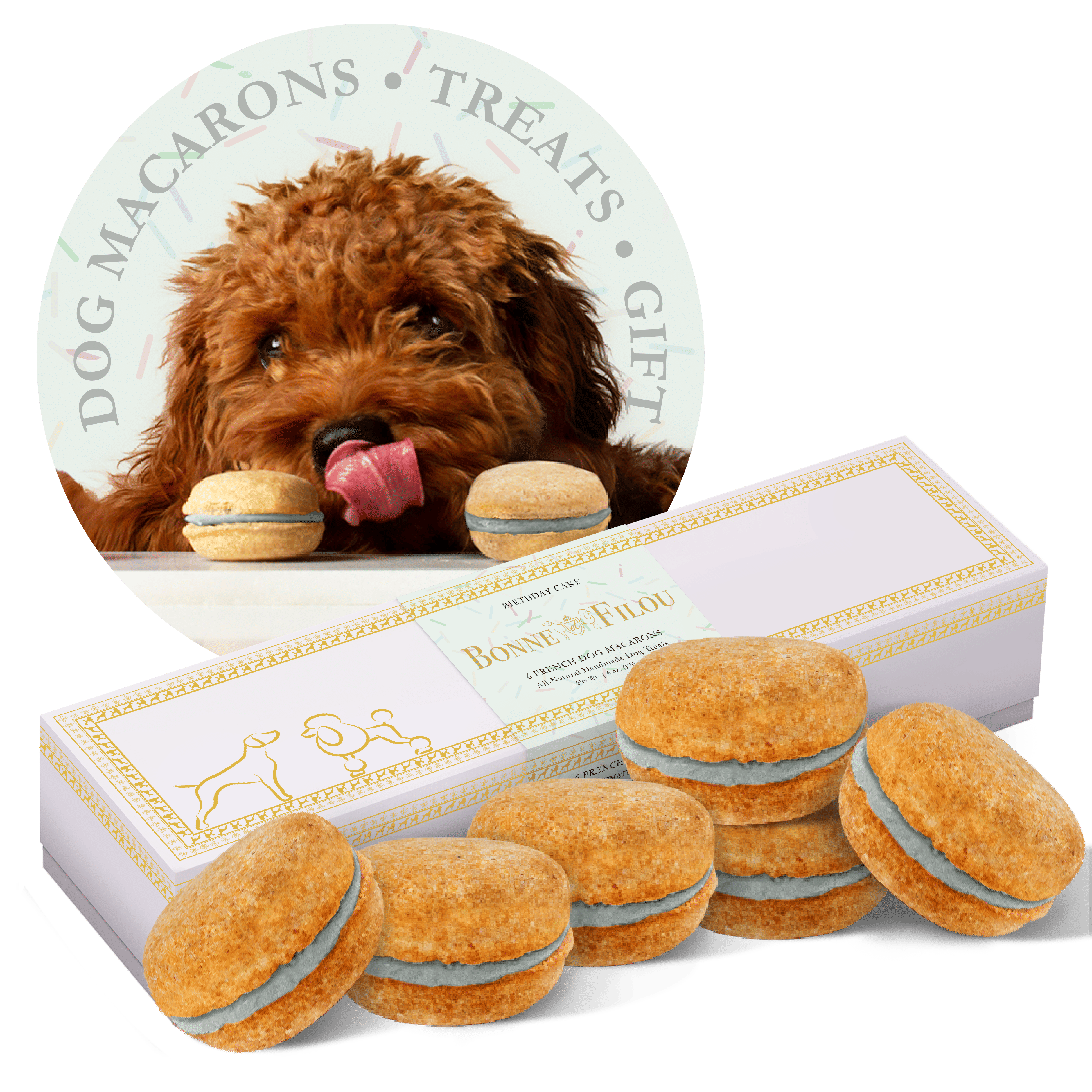 Dog Macarons - count of 6 (Dog Treats  Dog gifts)(D0102HIRLYU)