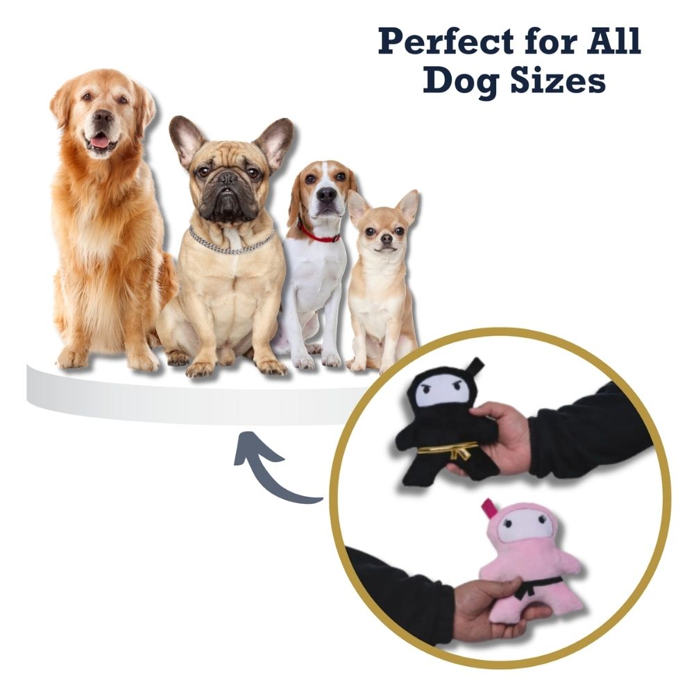 Pink & Black Ninja Plush Dog Toy Set, Squeakers & Crinkle Paper