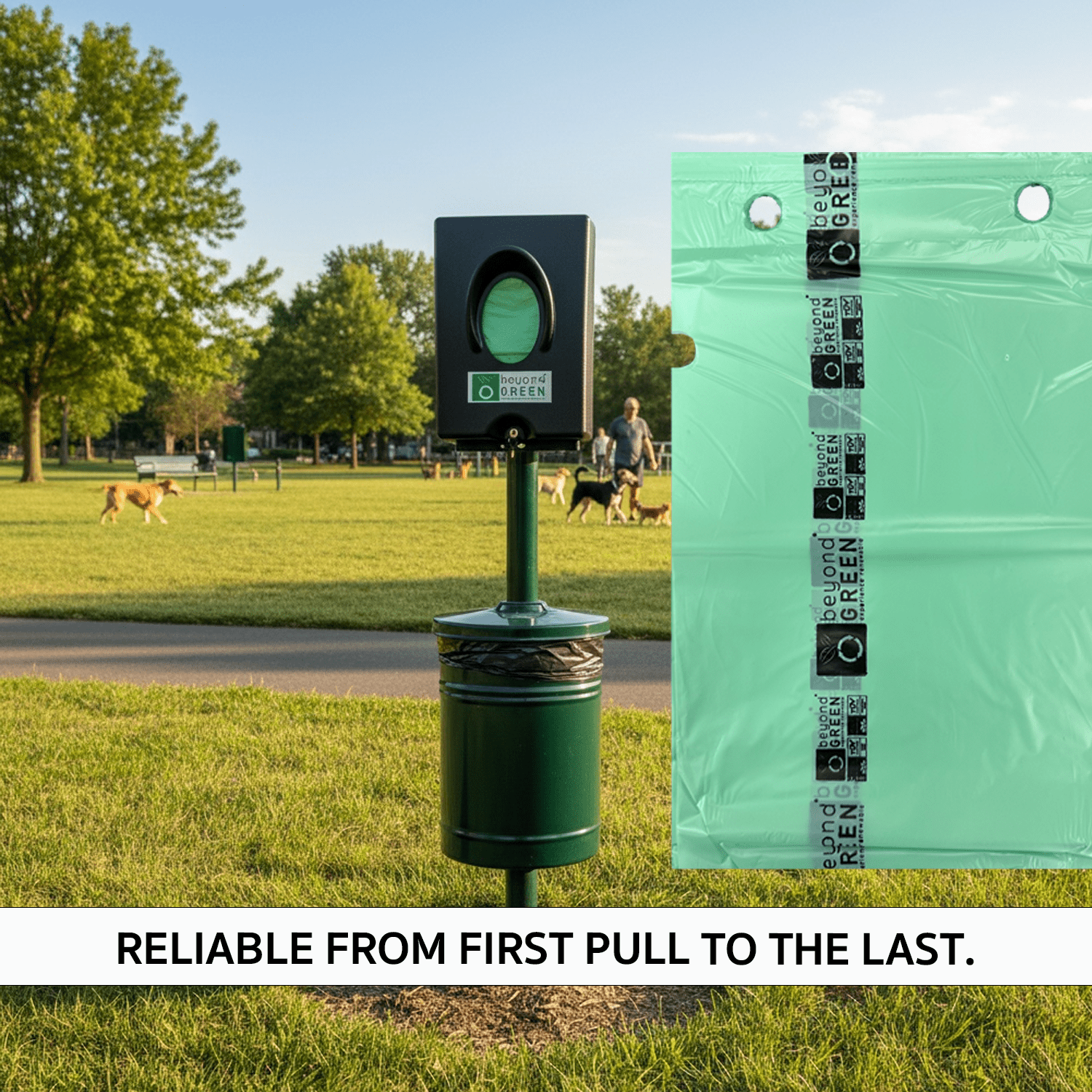 Dog Waste Station Bags – Single-Pull Refill 9" x 13" | Park Dispenser Compatible | Made in USA | beyondGREEN