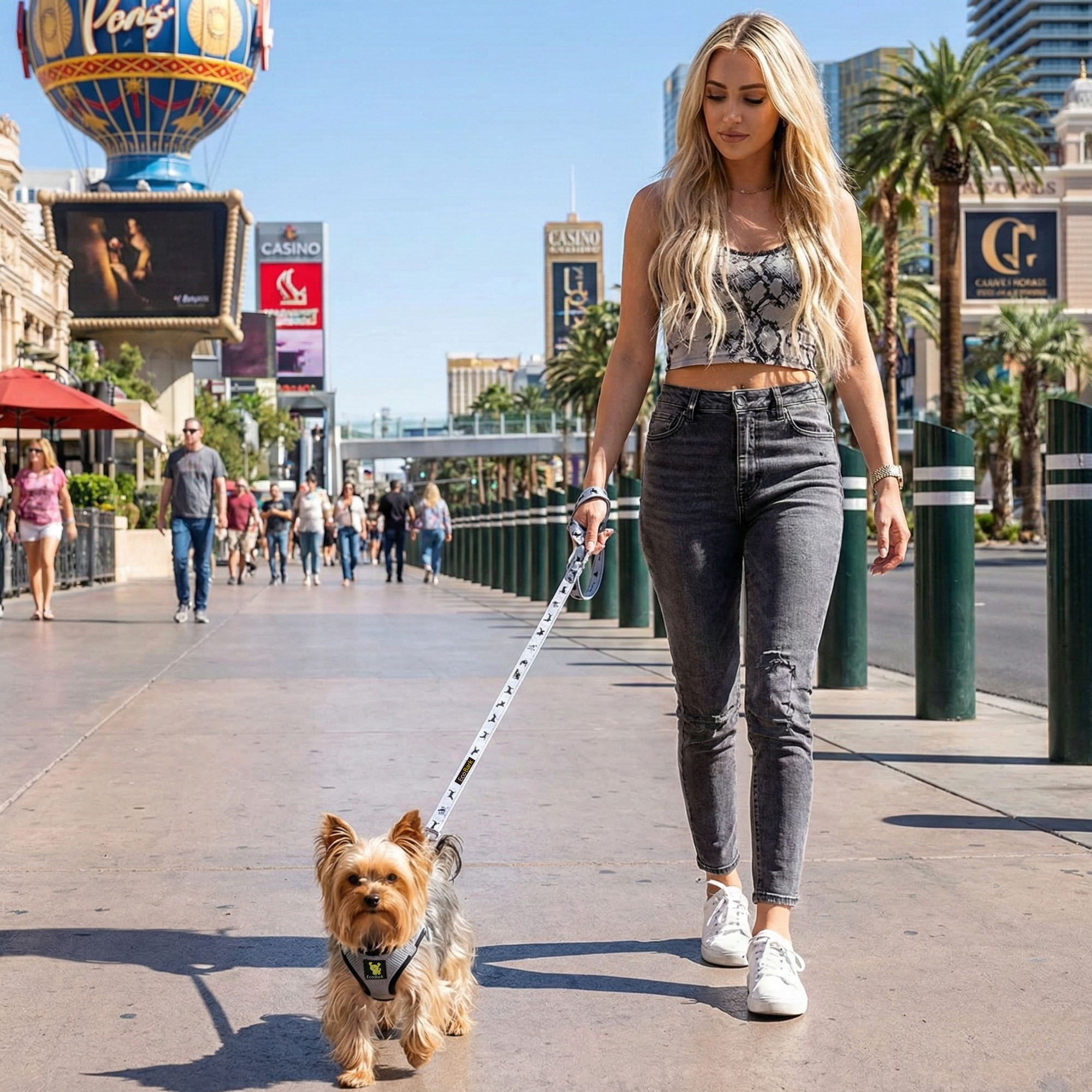 EcoBark Gray Dog Leash- Padded Comfort Grip Leash - 4ft, 5ft, and 6ft Leash for Small and Medium Dogs