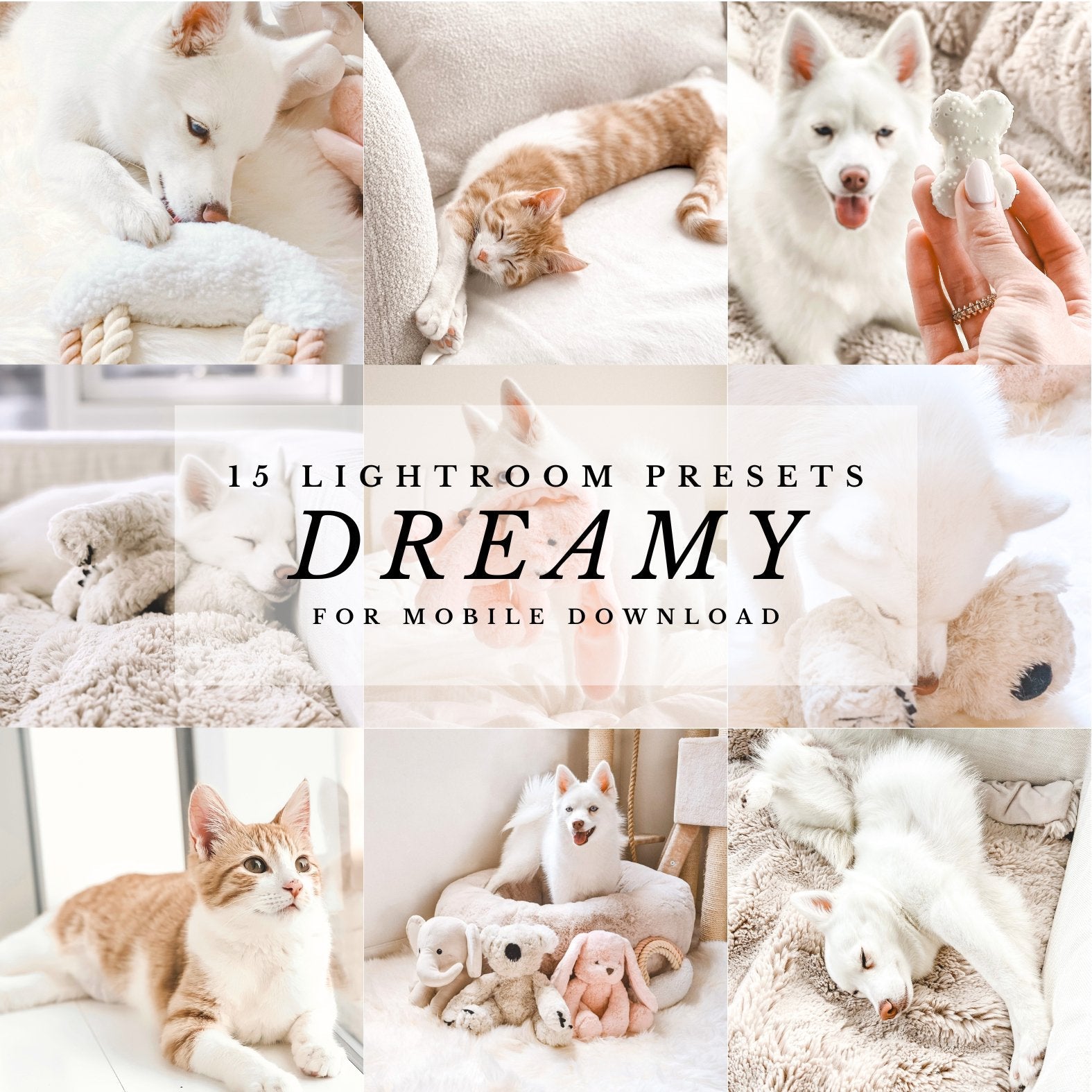 Fur Elise Dreamy Presets