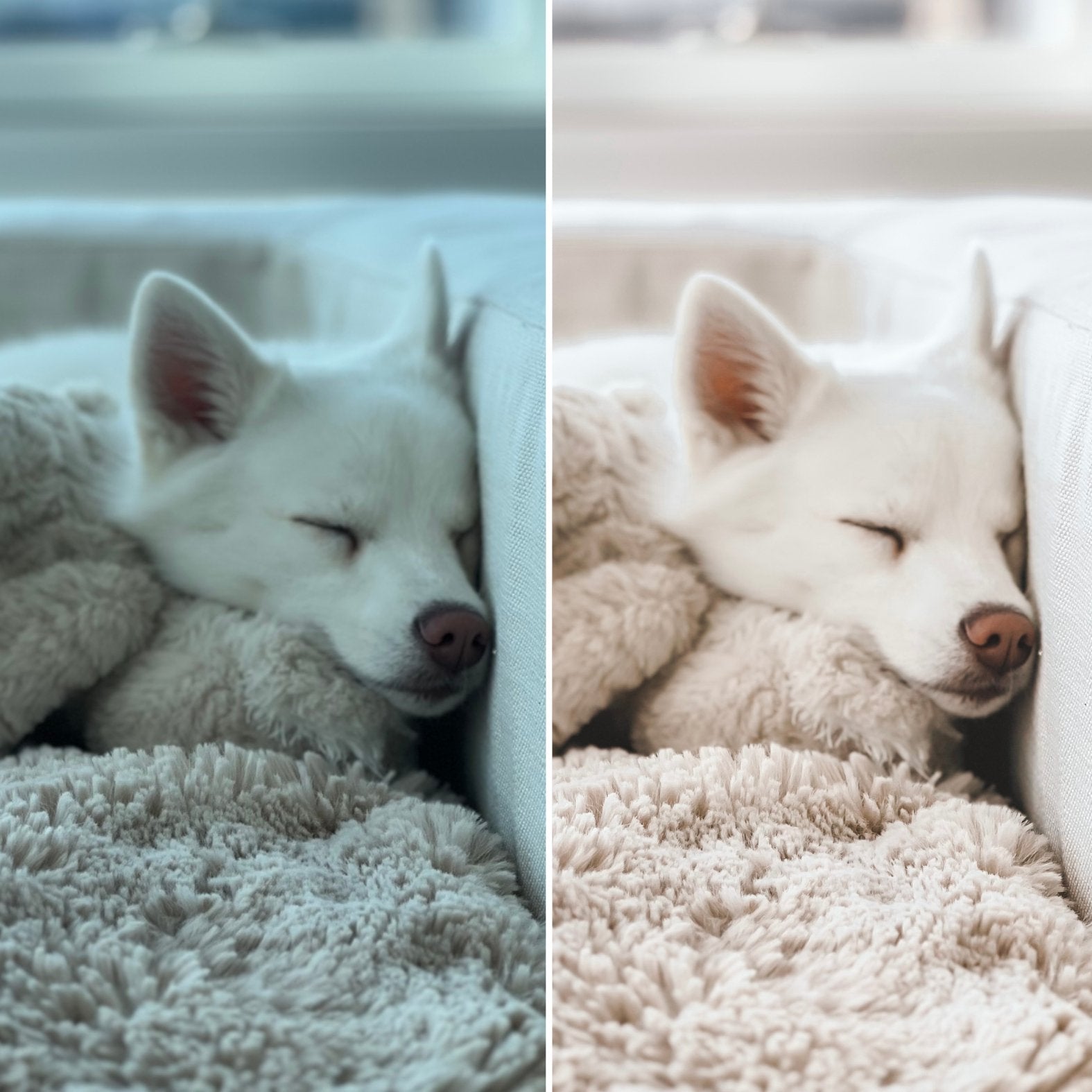 Fur Elise Dreamy Presets