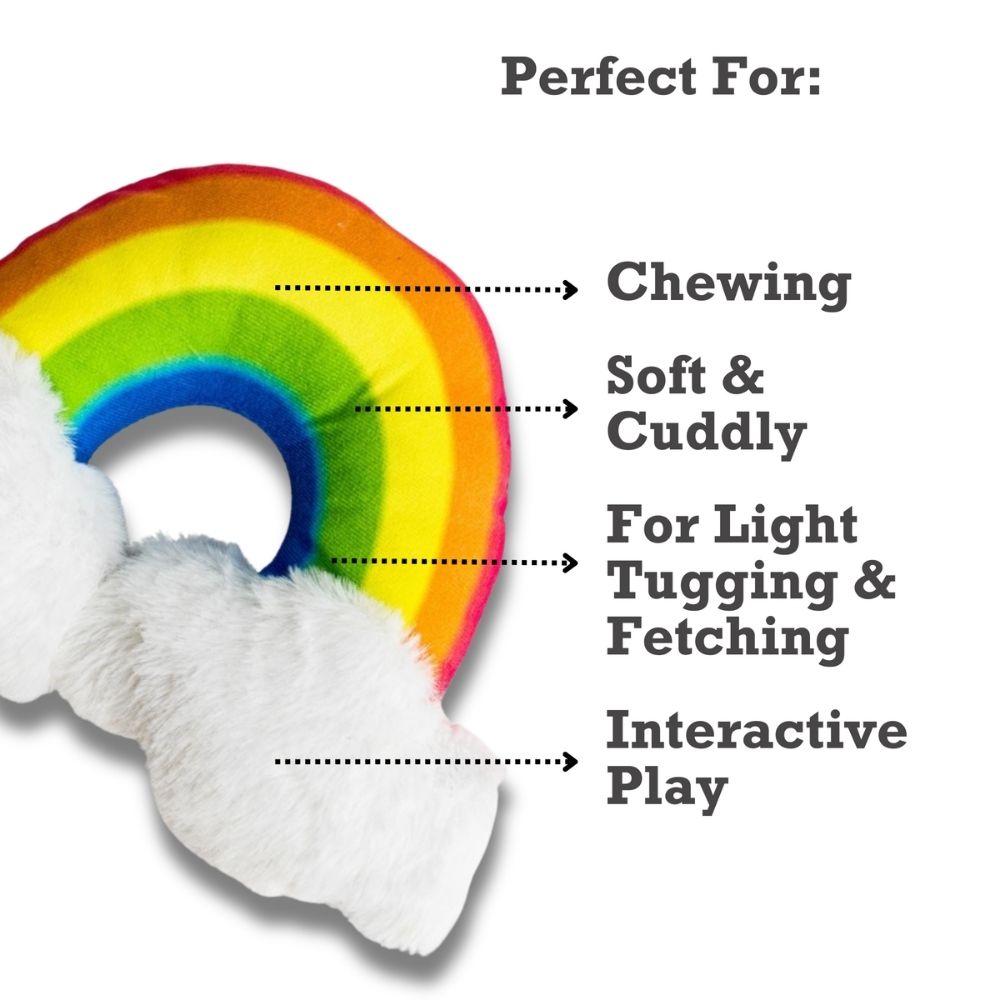 Magical Rainbow Plush Dog Toy with Squeaker & Crinkle, 11 × 8 in