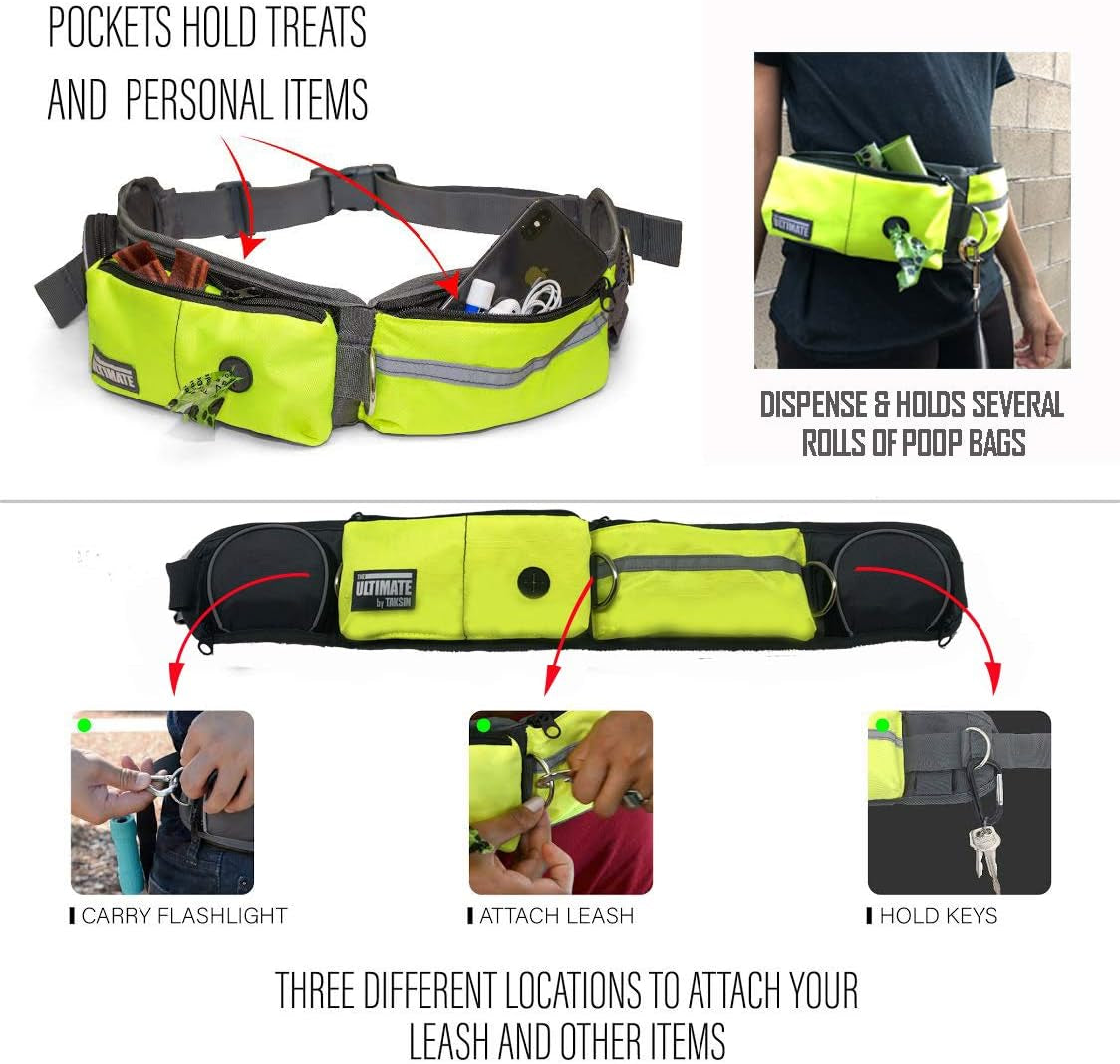 Hands Free Dog Leash Two Dogs Double Bungee Reflective Running Kit