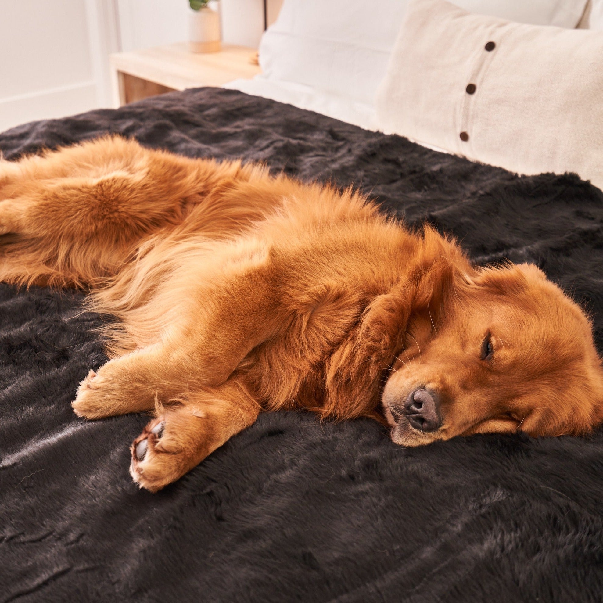 PupProtector™ Summer Short Fur Waterproof Throw Blanket - Midnight Black