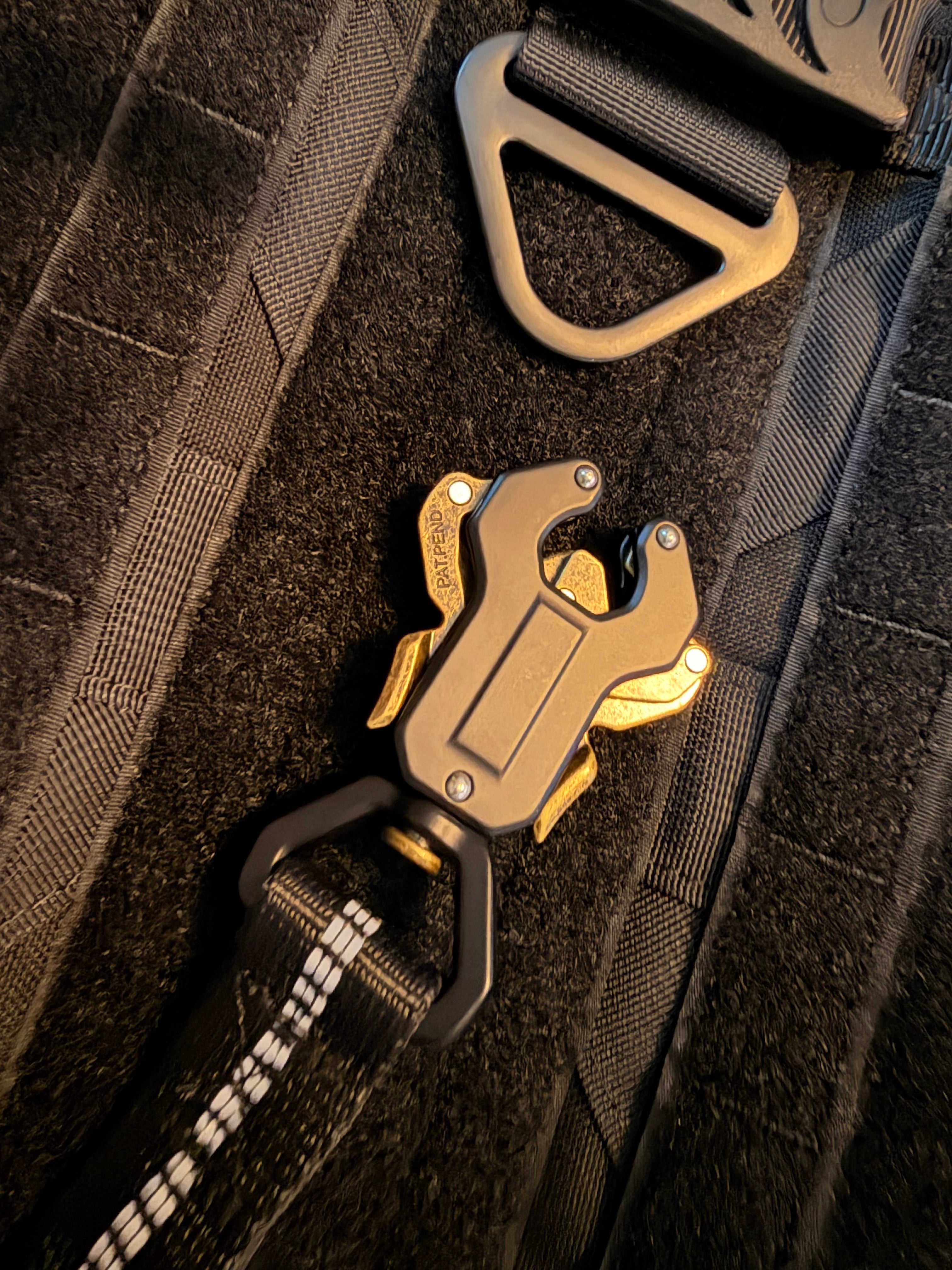 Quick-Release Frog Clip Bungee Leash - (Absorbs Pulls)