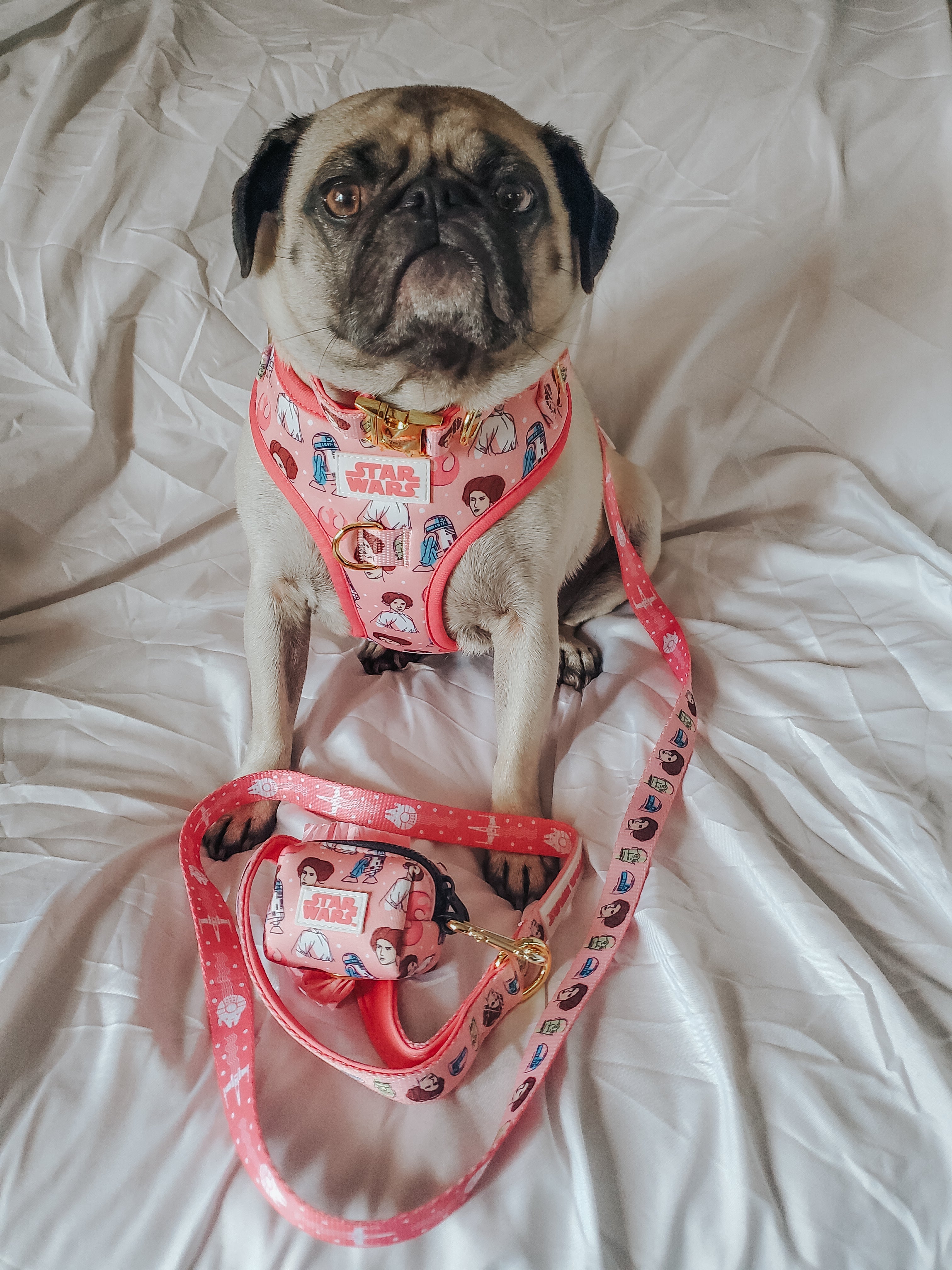 Dog Leash - STAR WARS™ Princess Leia