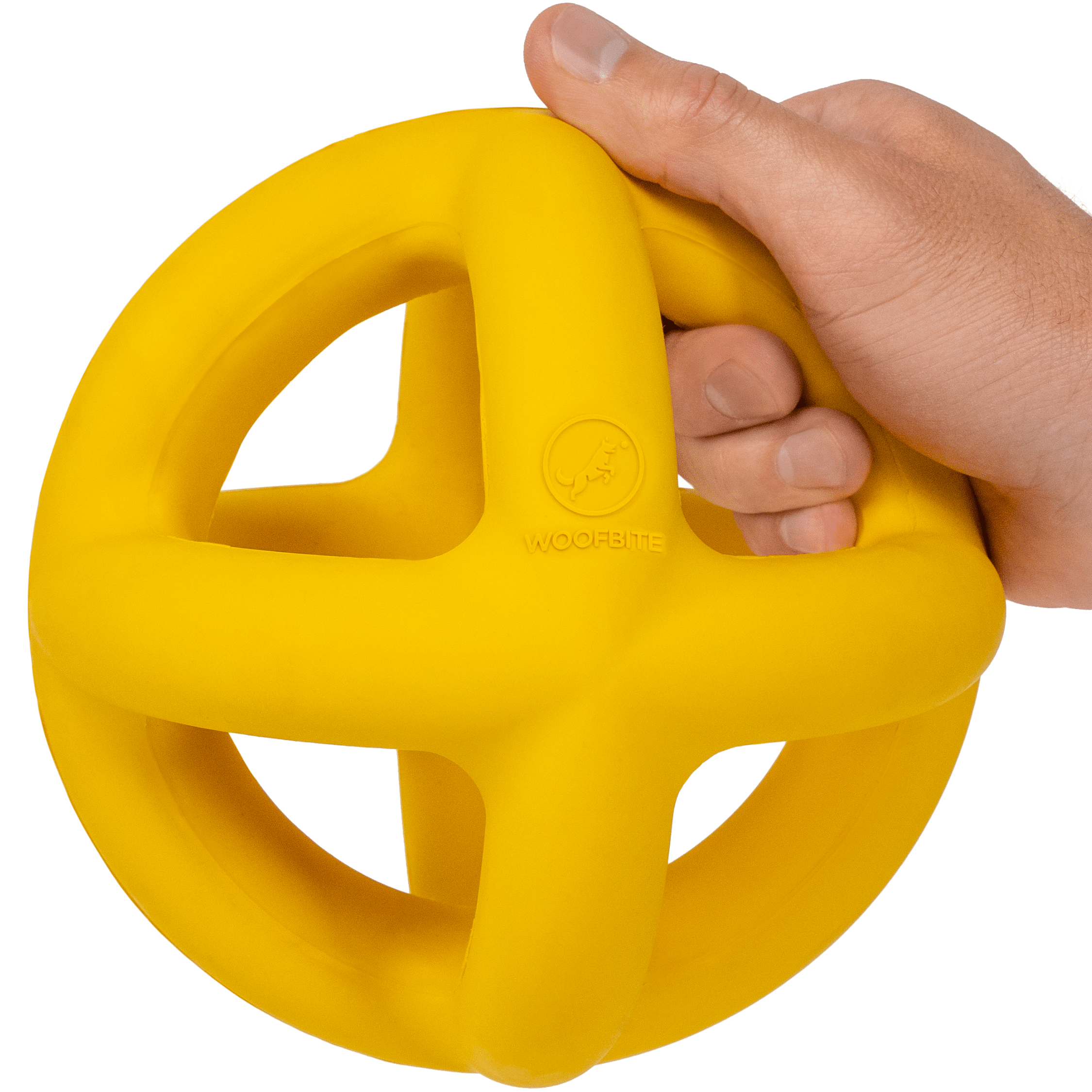 Giant Ring Ball