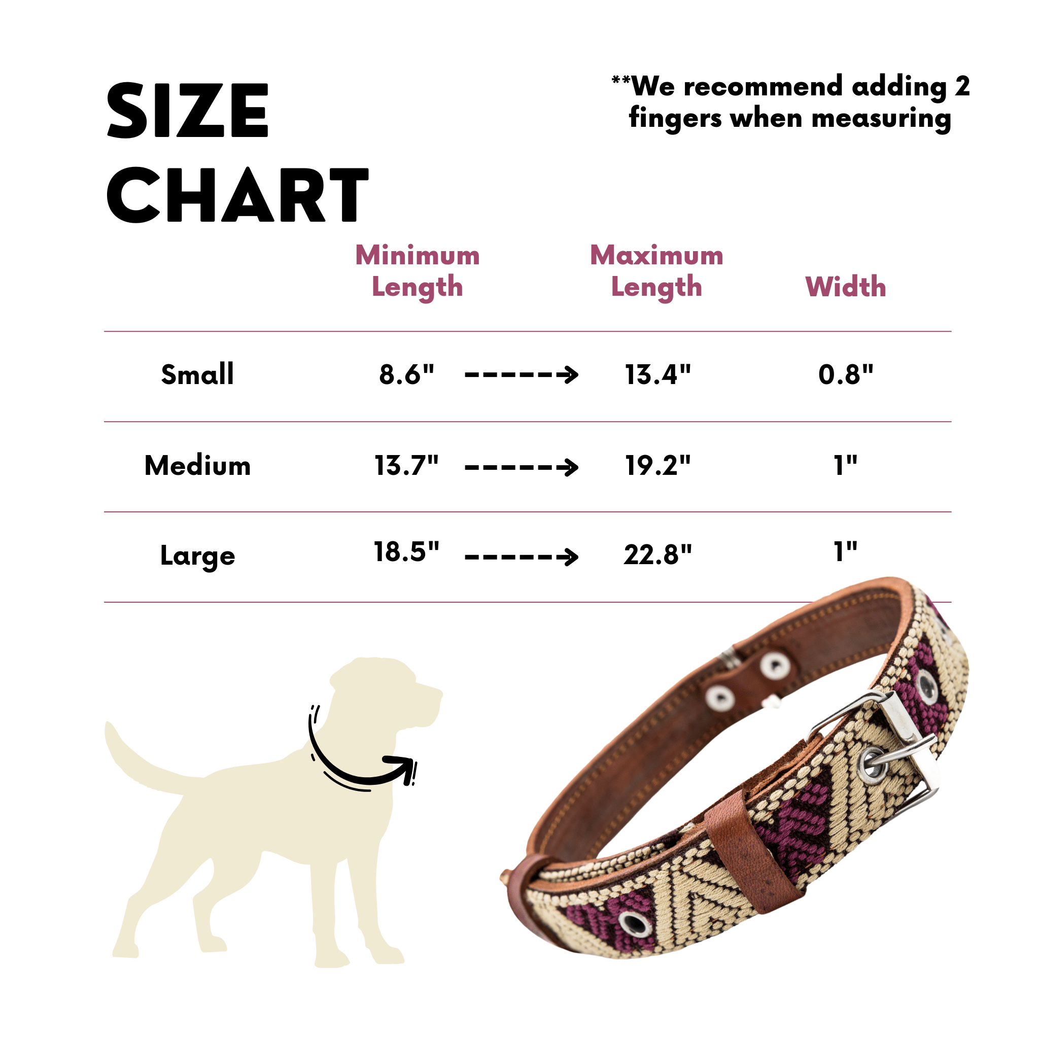 Handmade Leather Dog Collar — Aztec Embroidered | Baja White