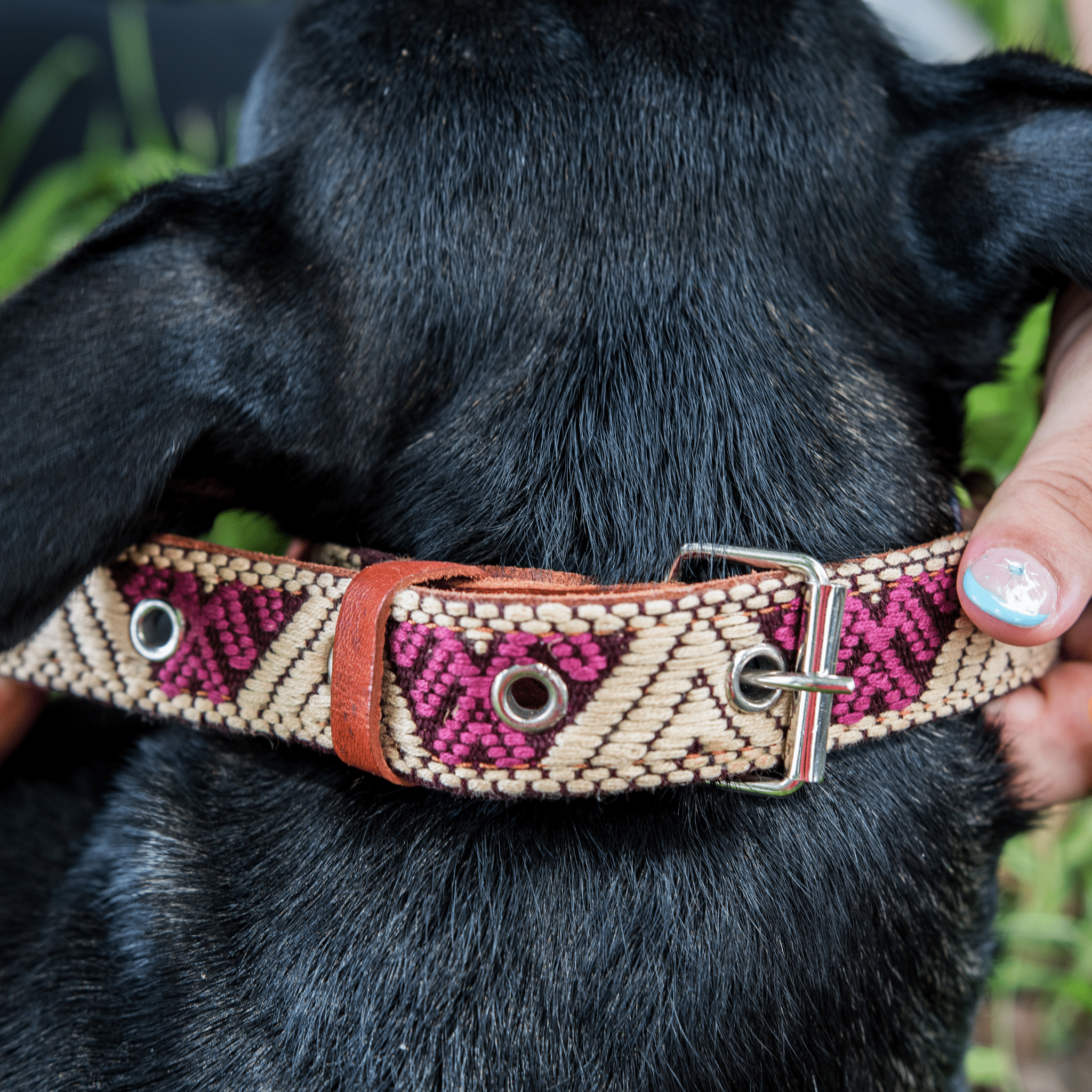 Handmade Leather Dog Collar — Aztec Embroidered | Baja White