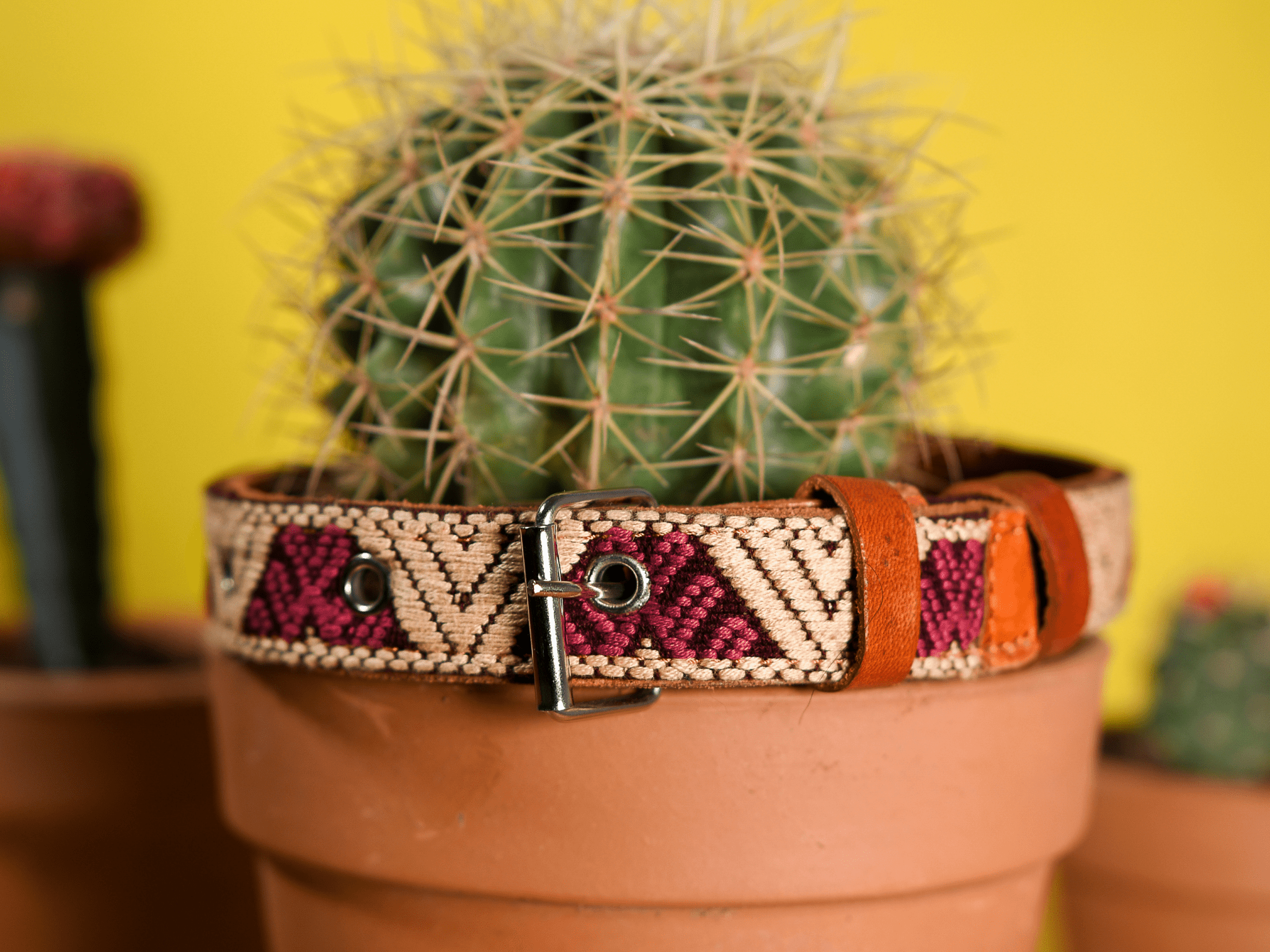 Handmade Leather Dog Collar — Aztec Embroidered | Baja White