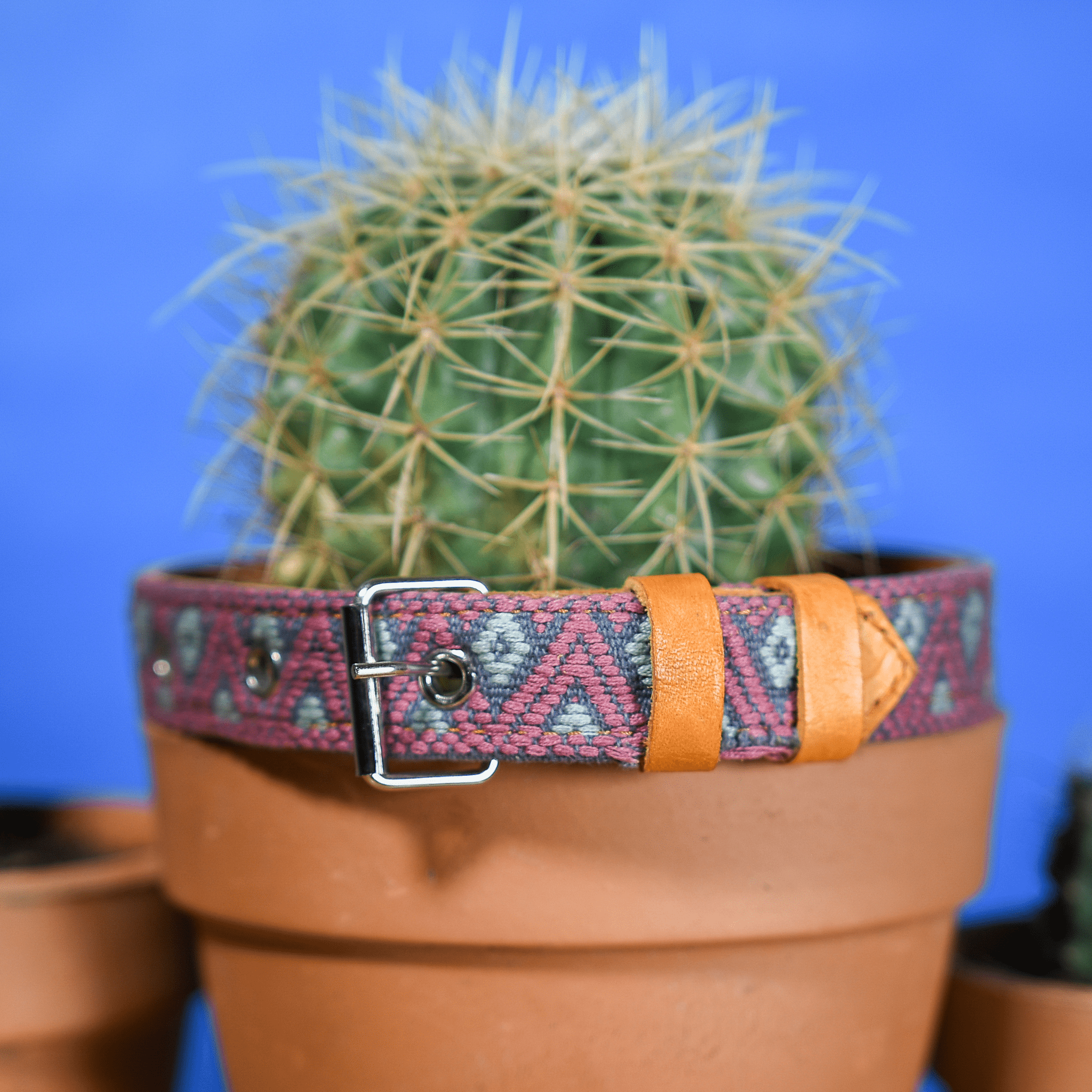 Handmade Leather Dog Collar — Aztec Embroidered | Camelot