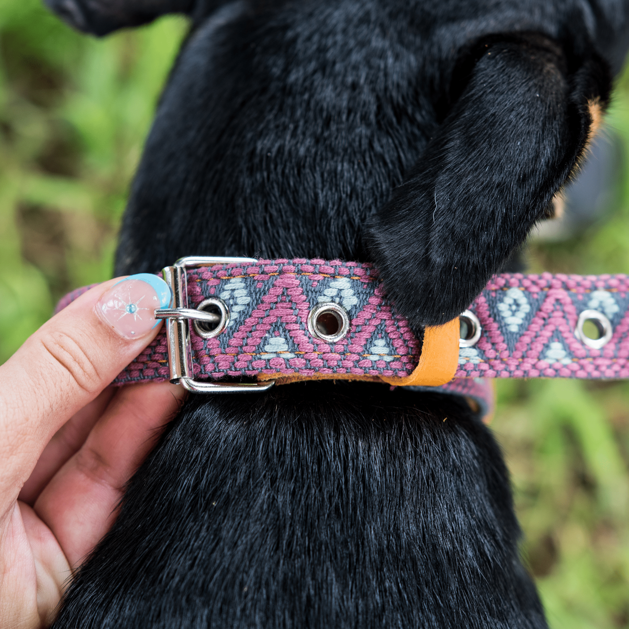 Handmade Leather Dog Collar — Aztec Embroidered | Camelot