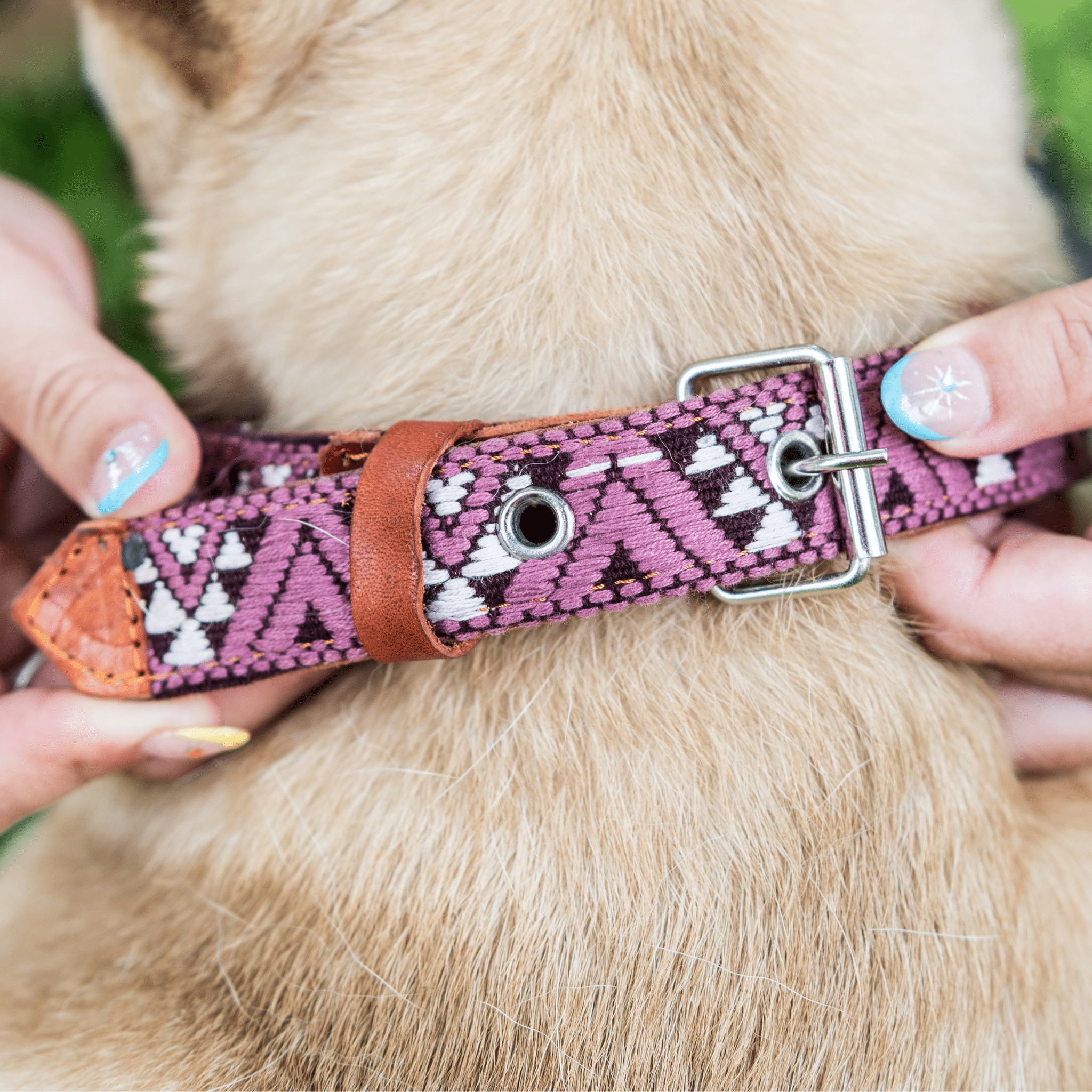 Handmade Leather Dog Collar — Aztec Embroidered | Carissma