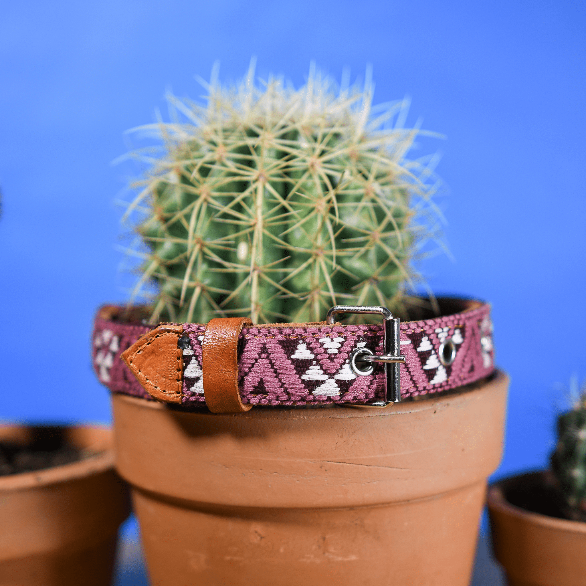 Handmade Leather Dog Collar — Aztec Embroidered | Carissma