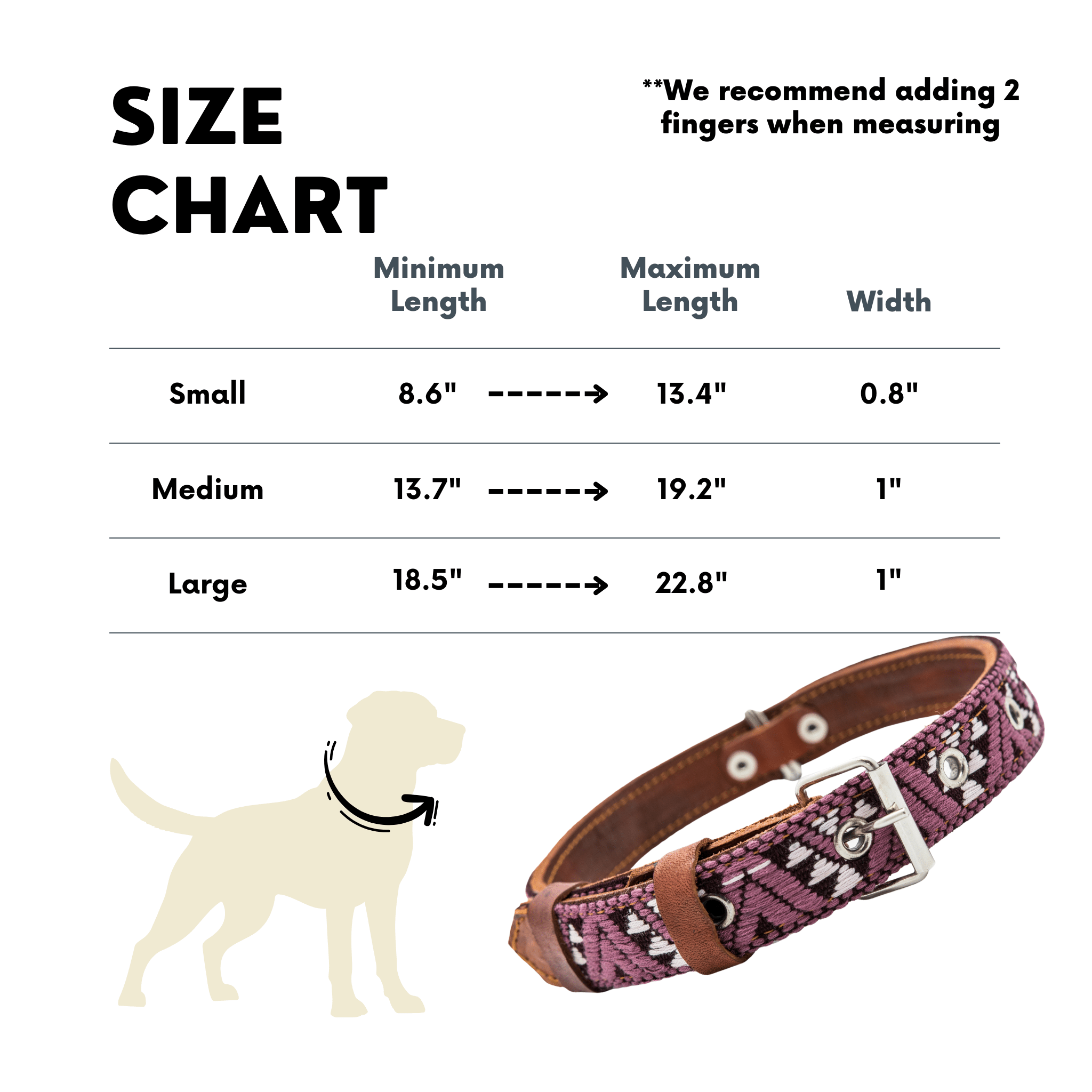Handmade Leather Dog Collar — Aztec Embroidered | Carissma