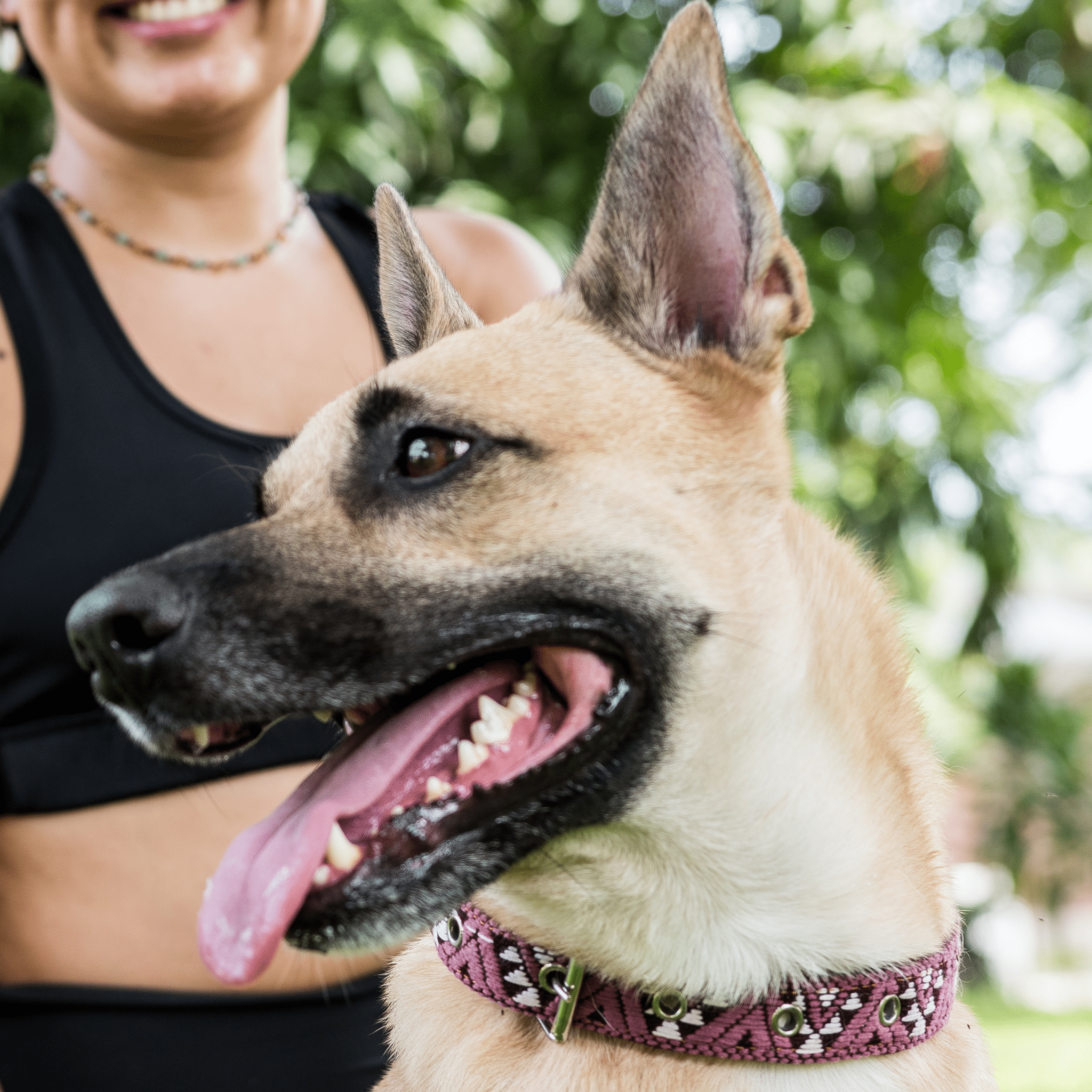 Handmade Leather Dog Collar — Aztec Embroidered | Carissma