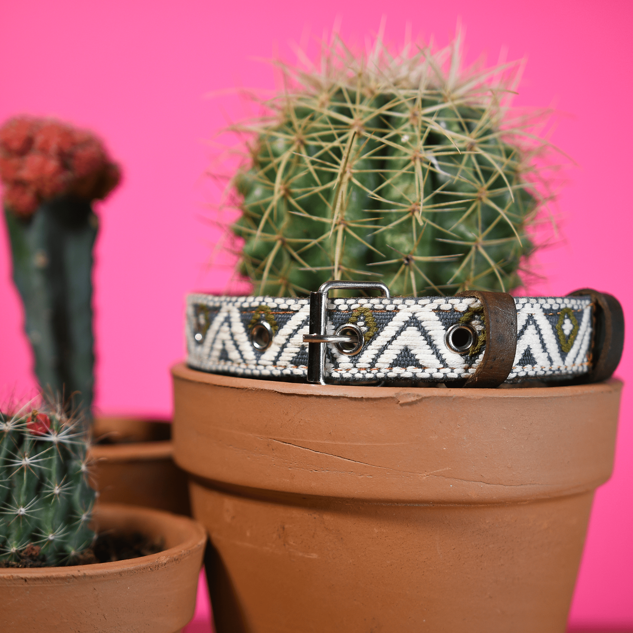 Handmade Leather Dog Collar — Aztec Embroidered | Ceramic Cello