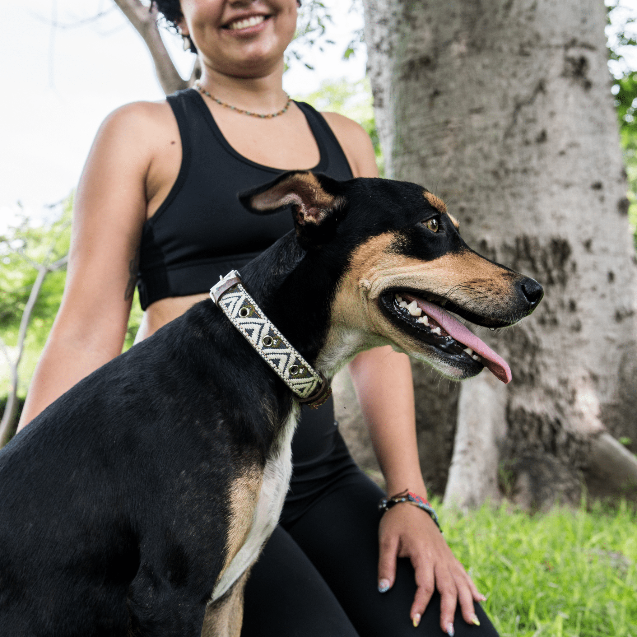 Handmade Leather Dog Collar — Aztec Embroidered | Ceramic Cello