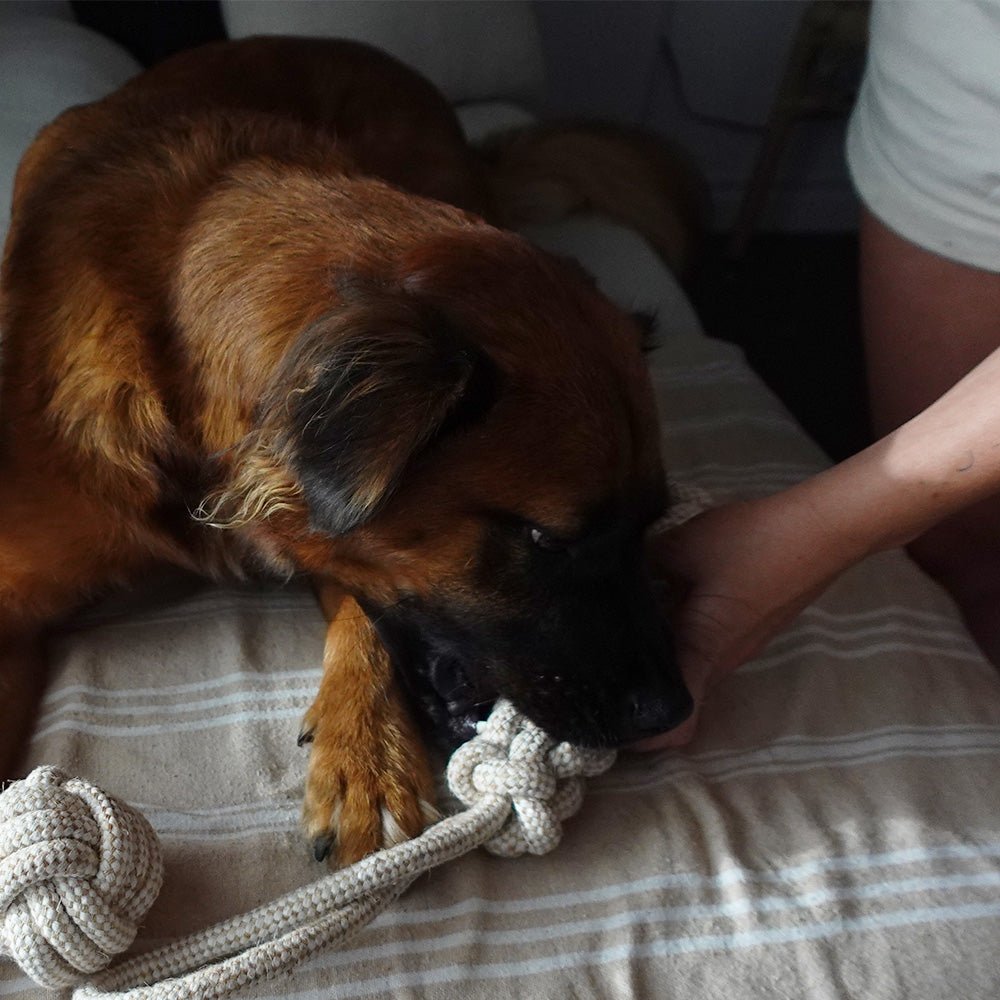 Tilley + Me Indestructible Hemp Rope Tug Toy - Sustainable and Non-Toxic Pet Toy