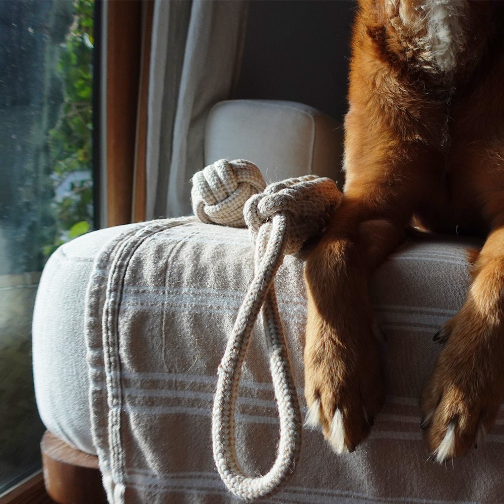Tilley + Me Indestructible Hemp Rope Tug Toy - Sustainable and Non-Toxic Pet Toy