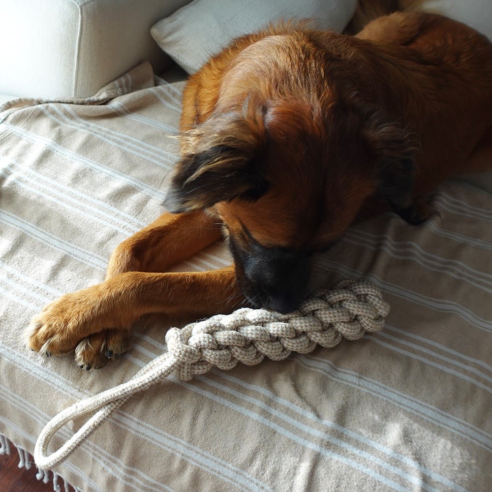 Tilley + Me Indestructible Hemp Rope Tug Toy - Sustainable and Non-Toxic Pet Toy