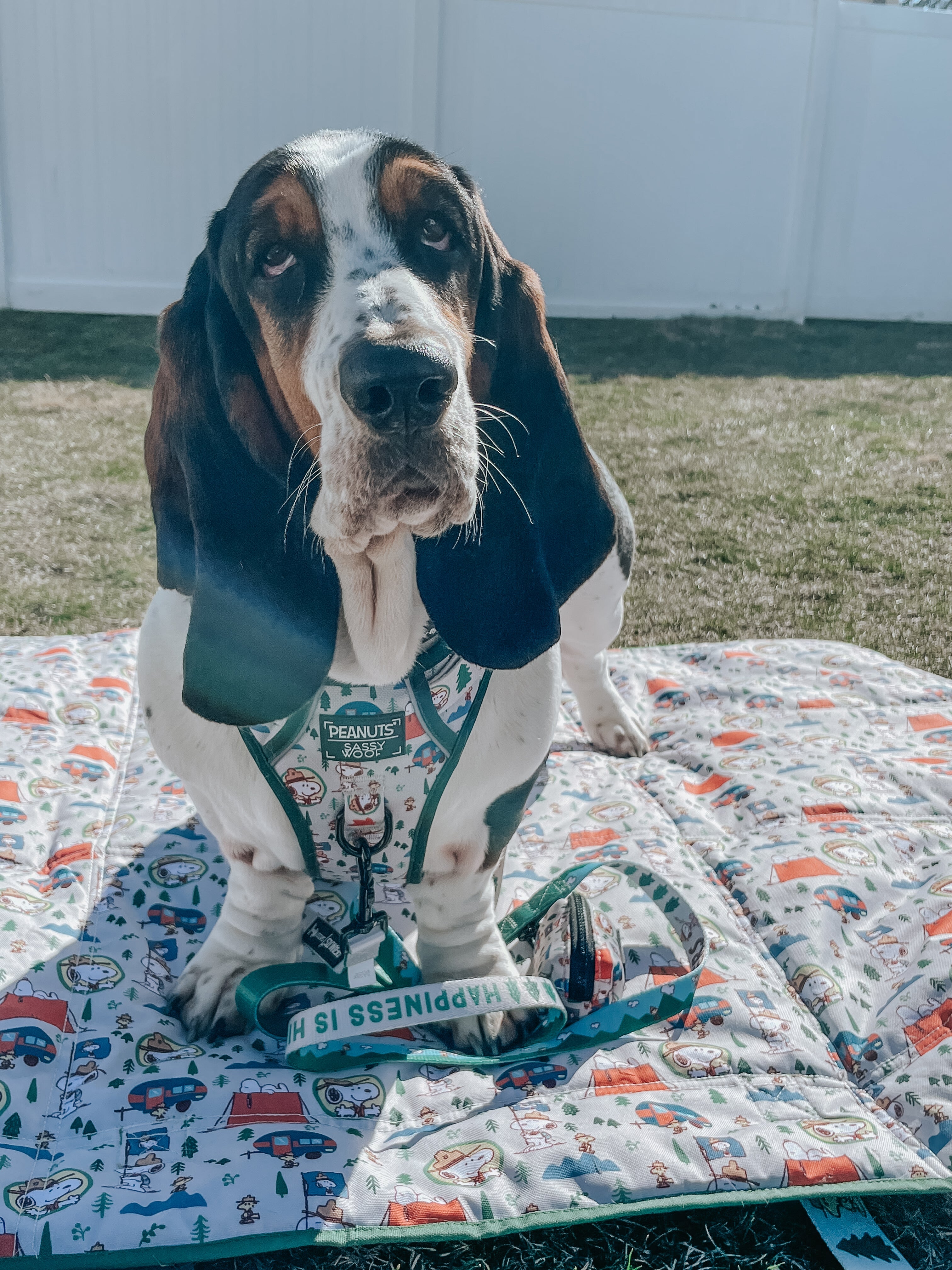 Dog Leash - Peanuts™ Beagle Scouts