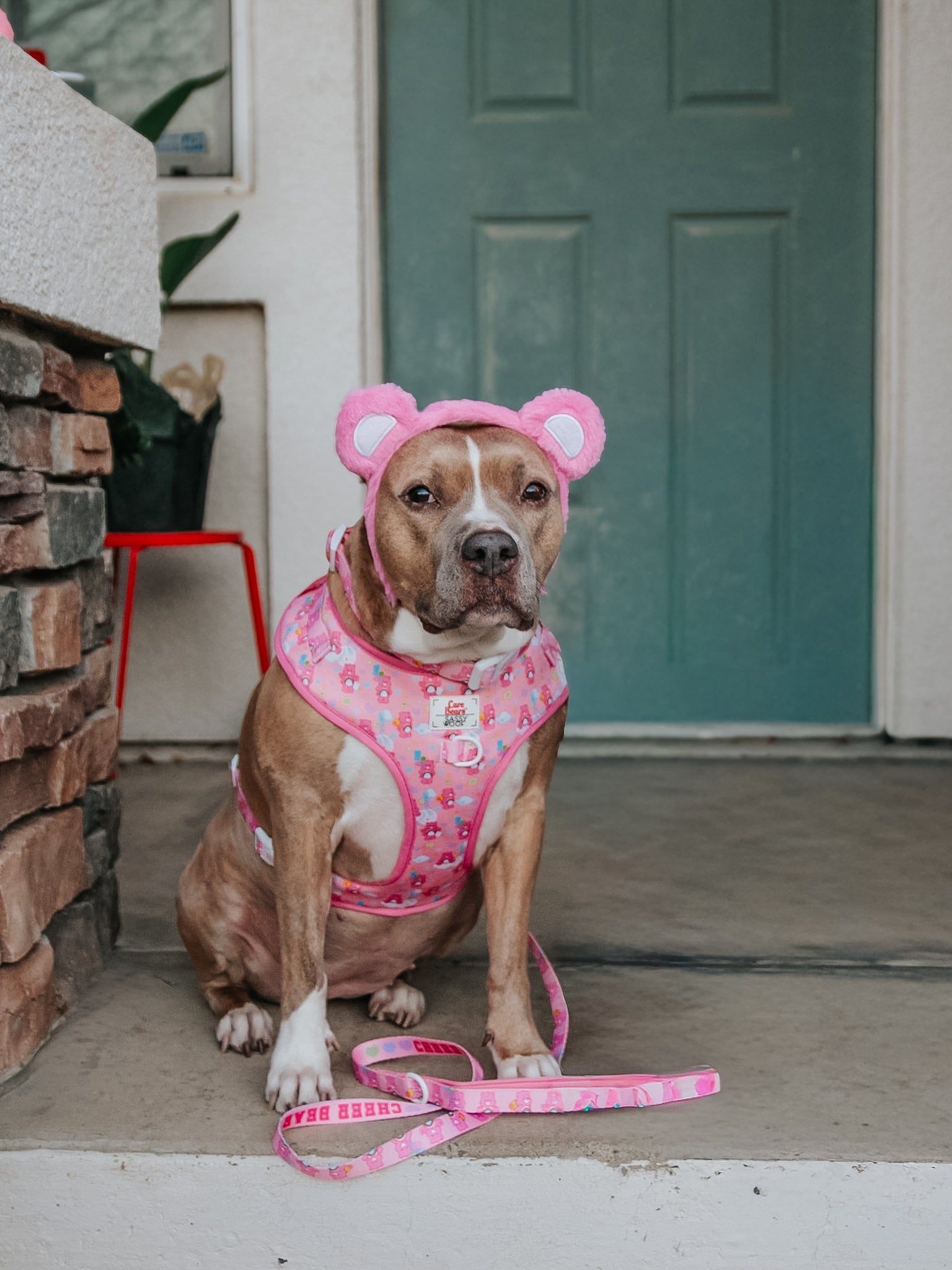 Dog Leash - Care Bears™ Cheer Bear